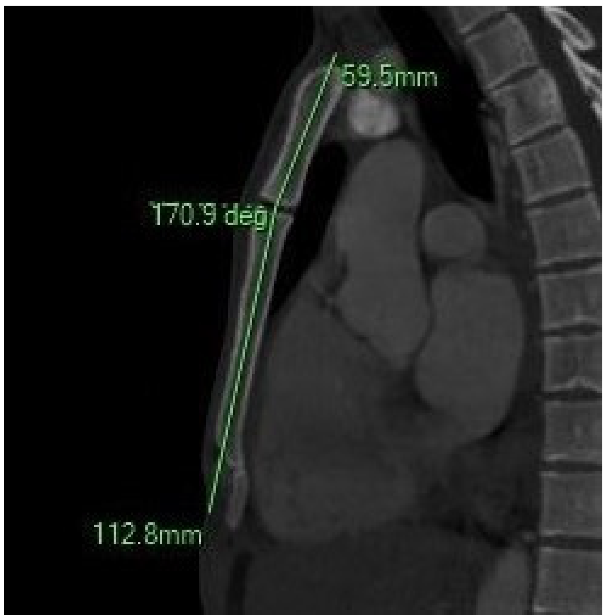 Diagnostics 15 01649 g003