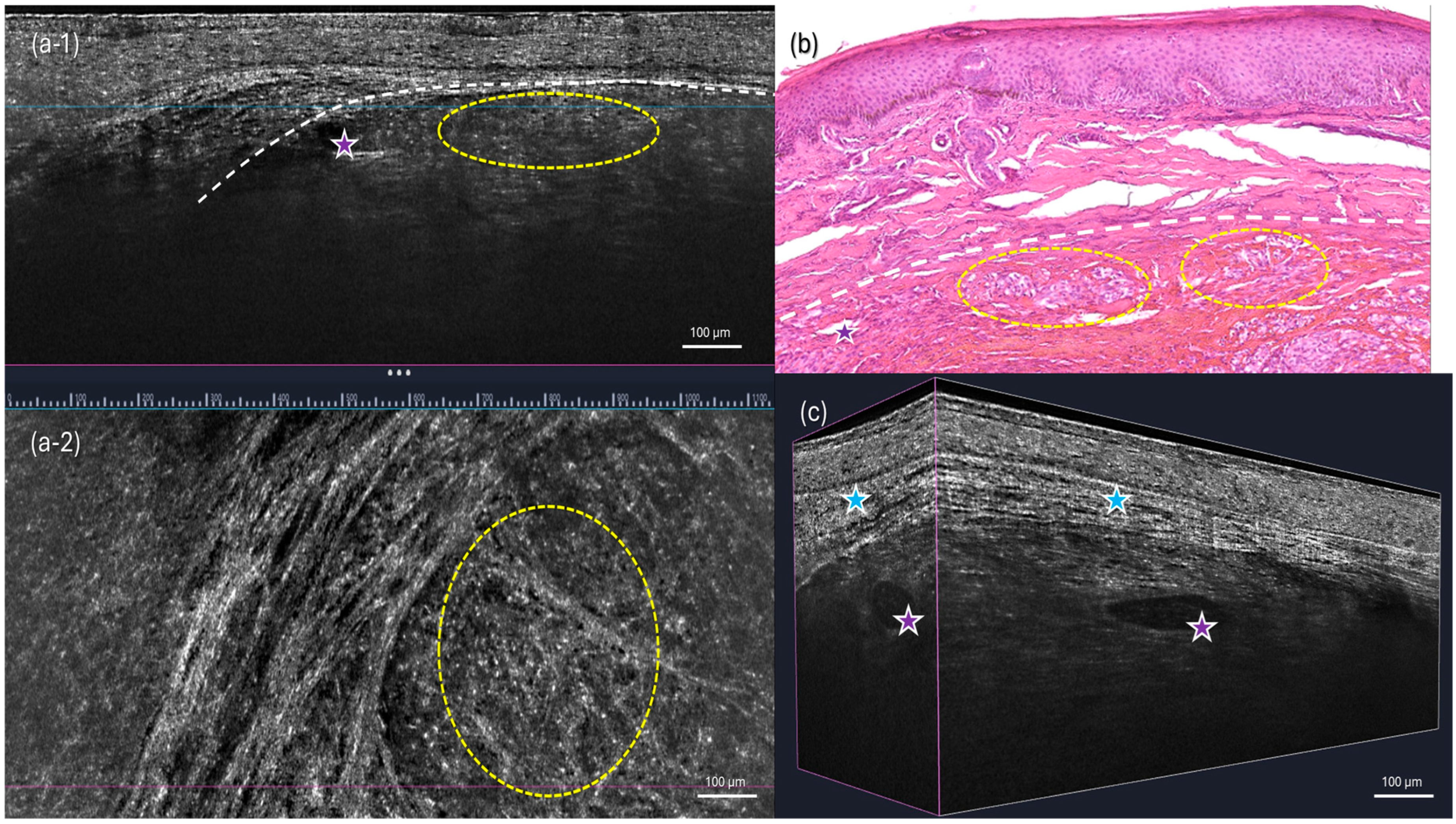 Diagnostics 15 01665 g004