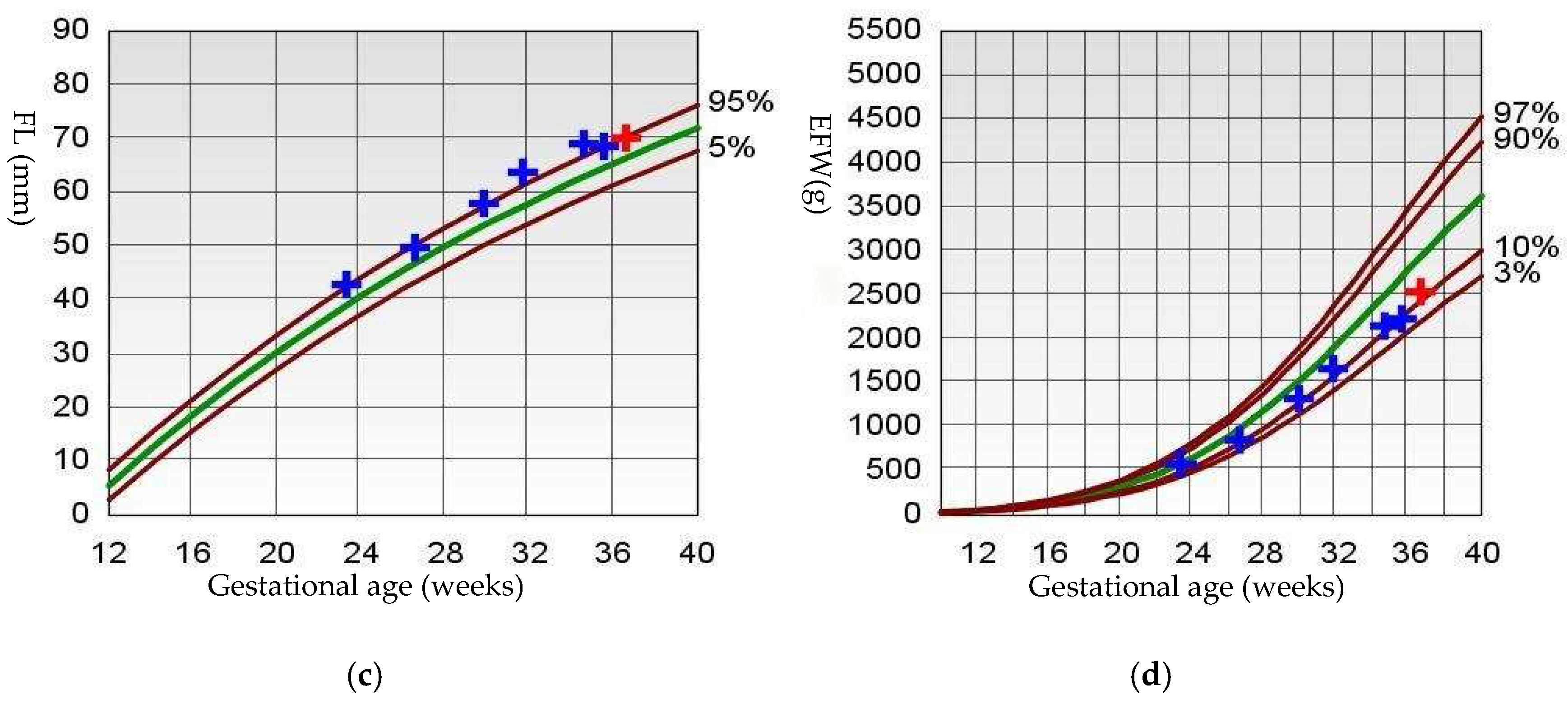 Diagnostics 15 01666 g001b Diagnostics 15 01666 g001b