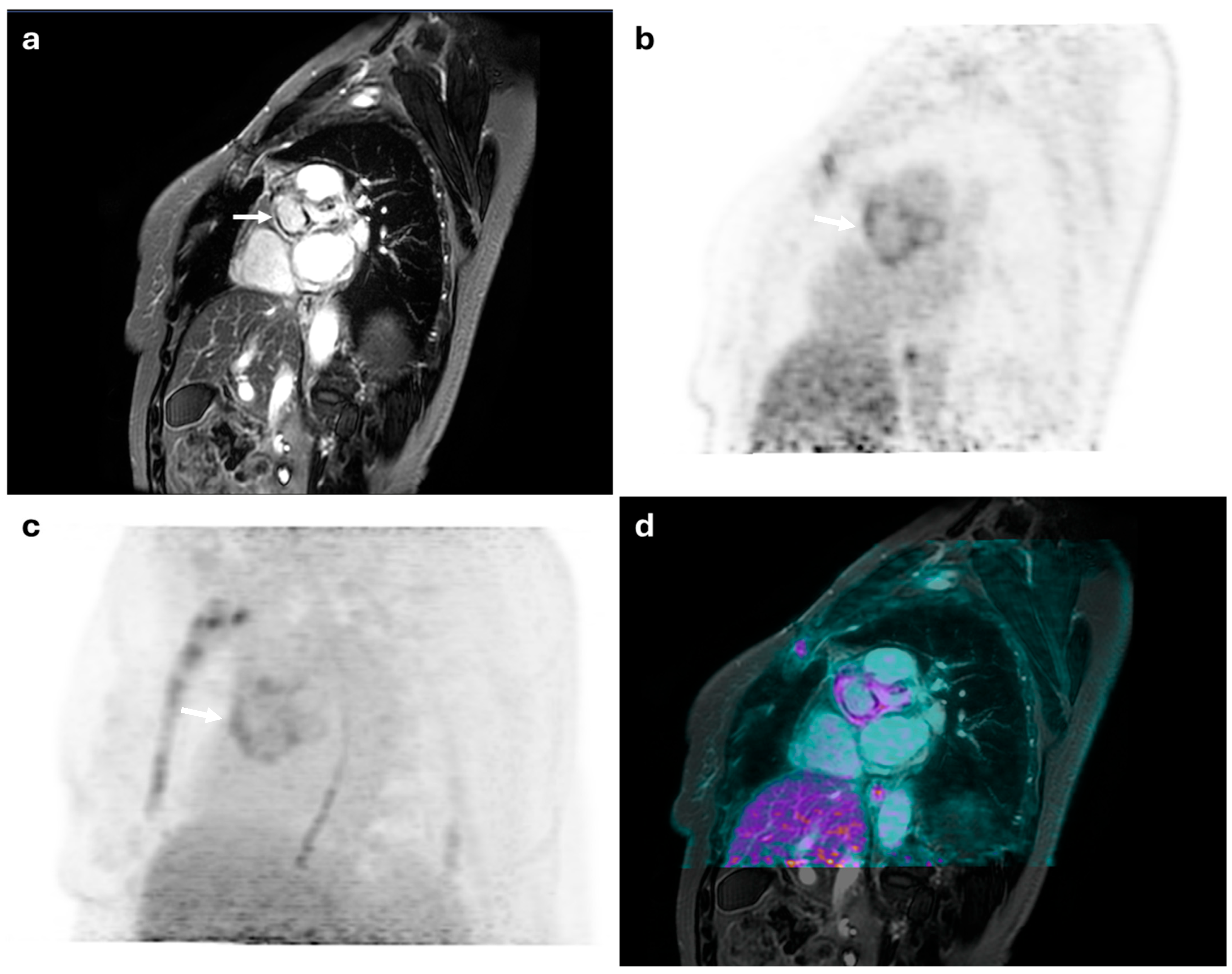 Diagnostics 15 01670 g002