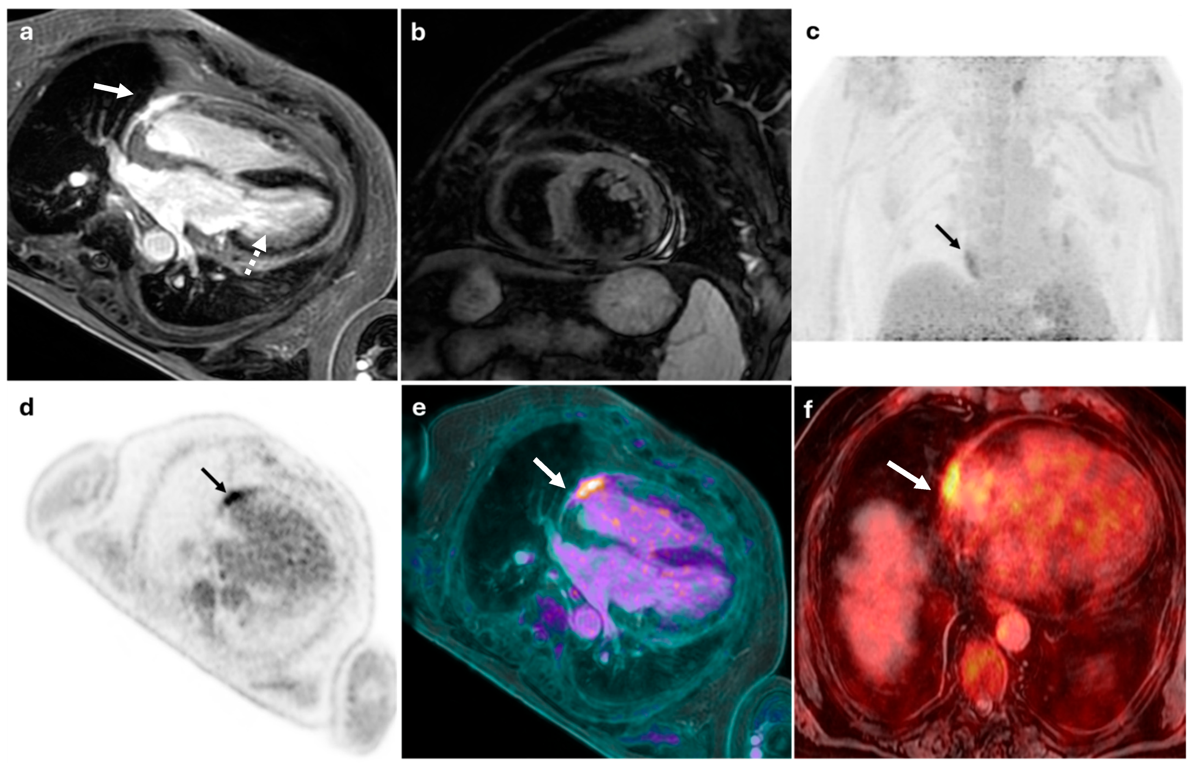 Diagnostics 15 01670 g003
