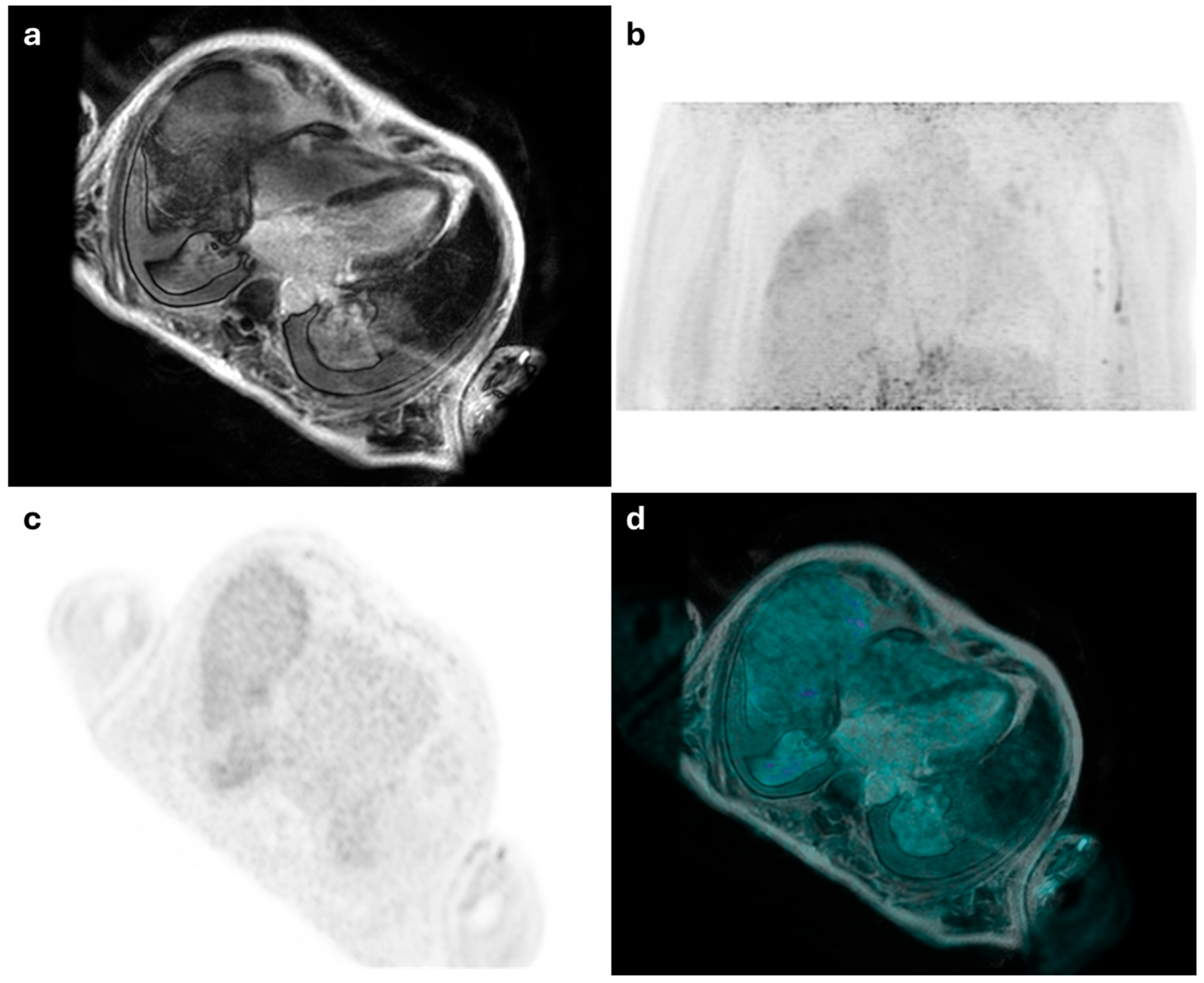 Diagnostics 15 01670 g004