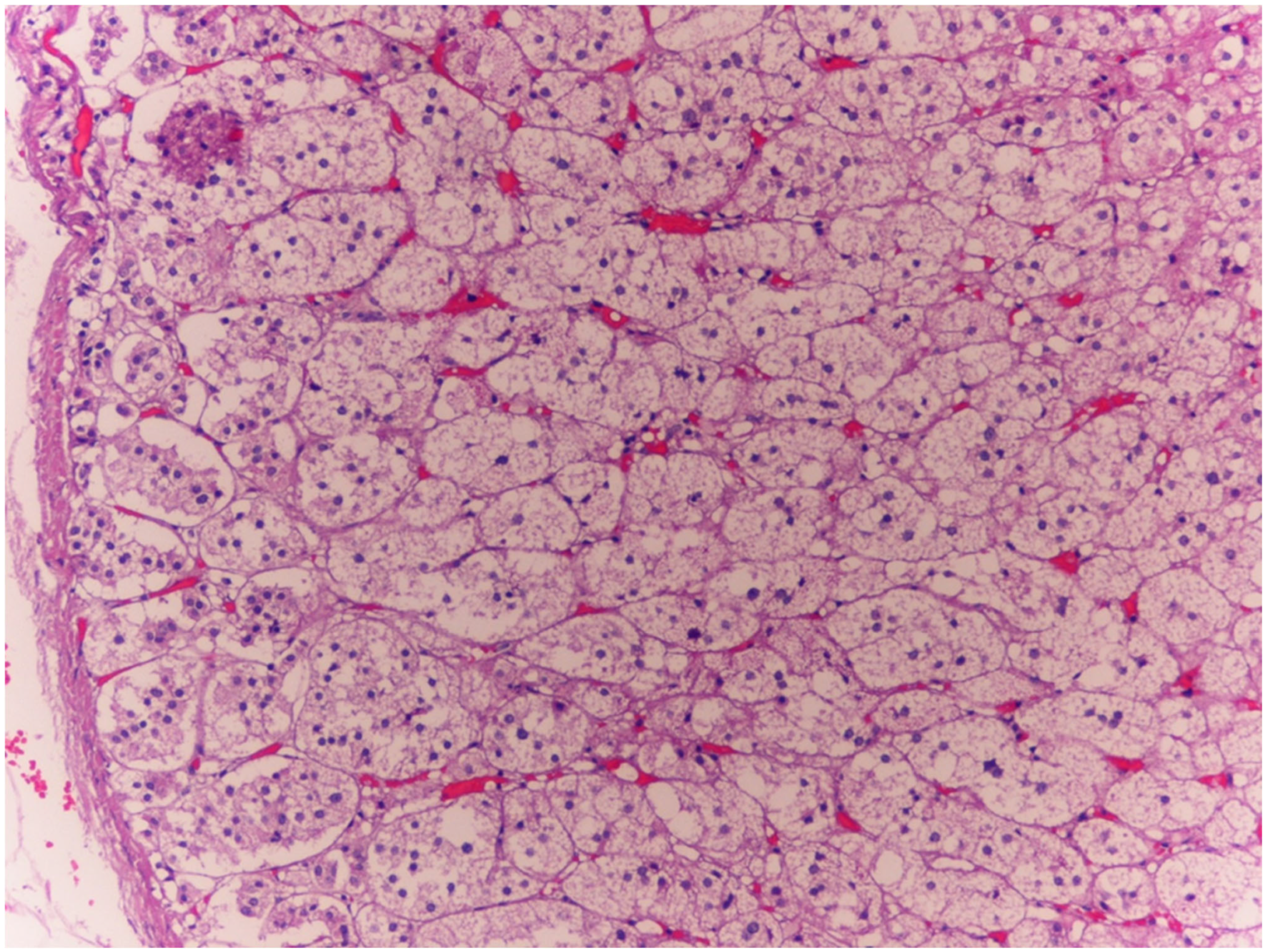 Diagnostics 15 01673 g001