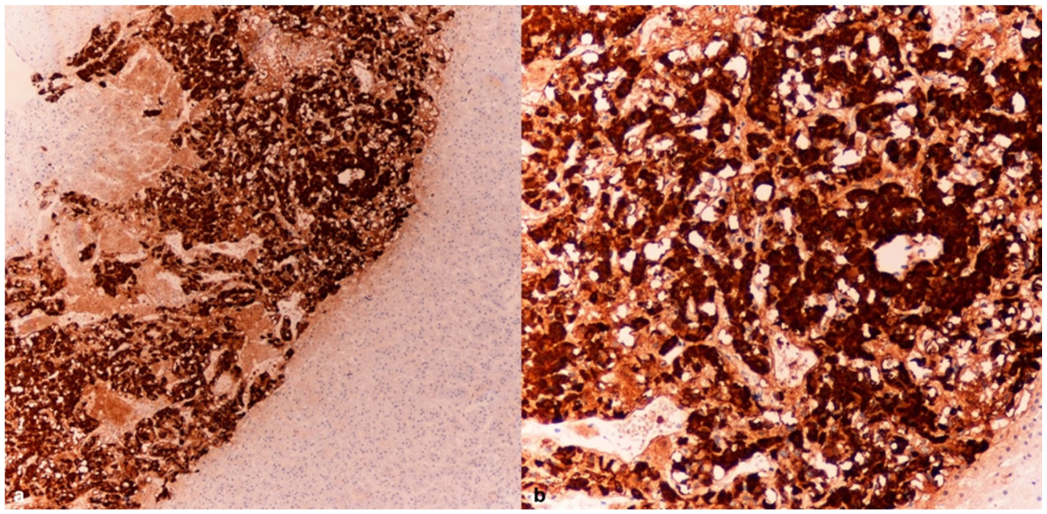 Diagnostics 15 01673 g002