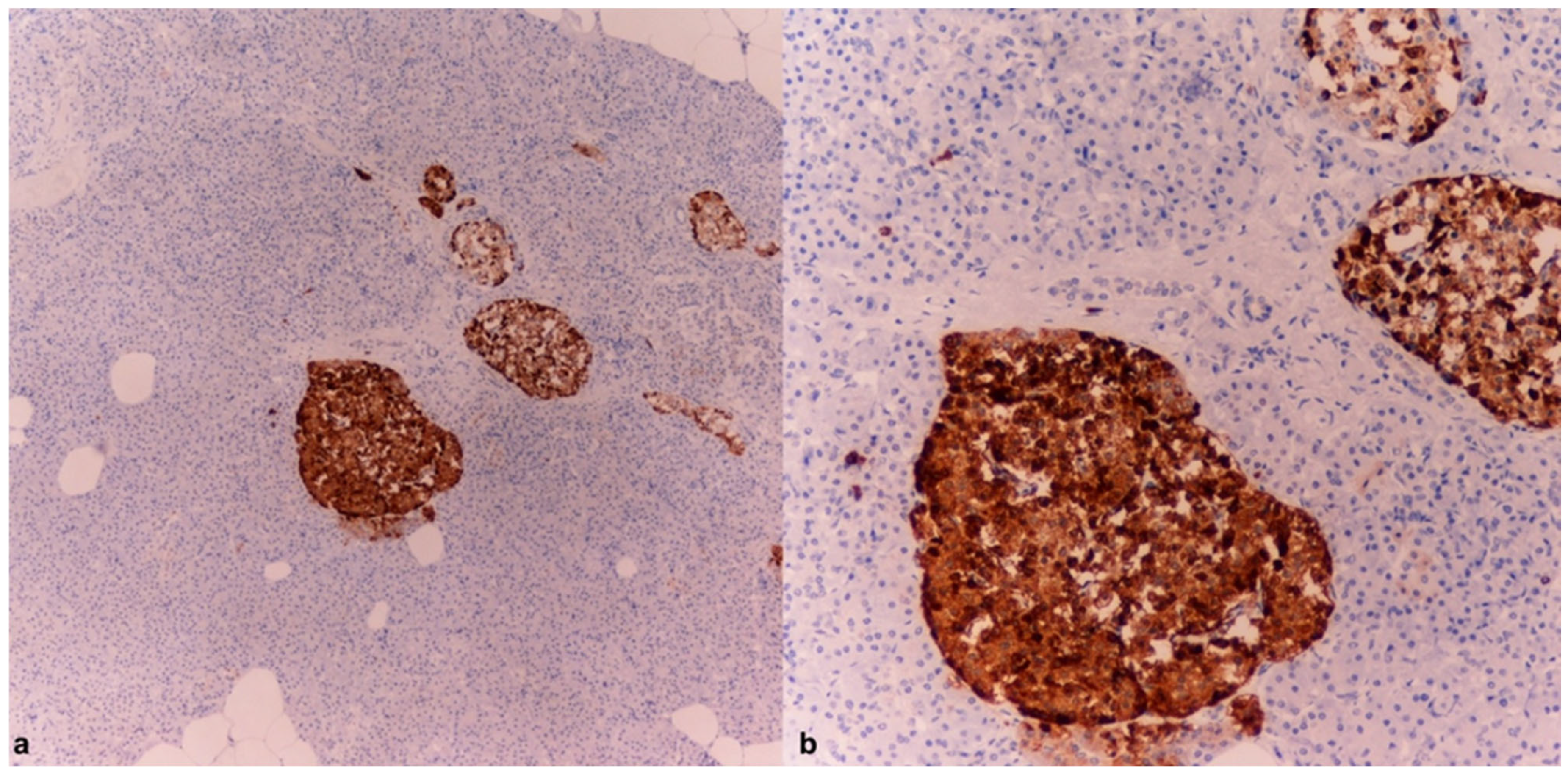Diagnostics 15 01673 g003