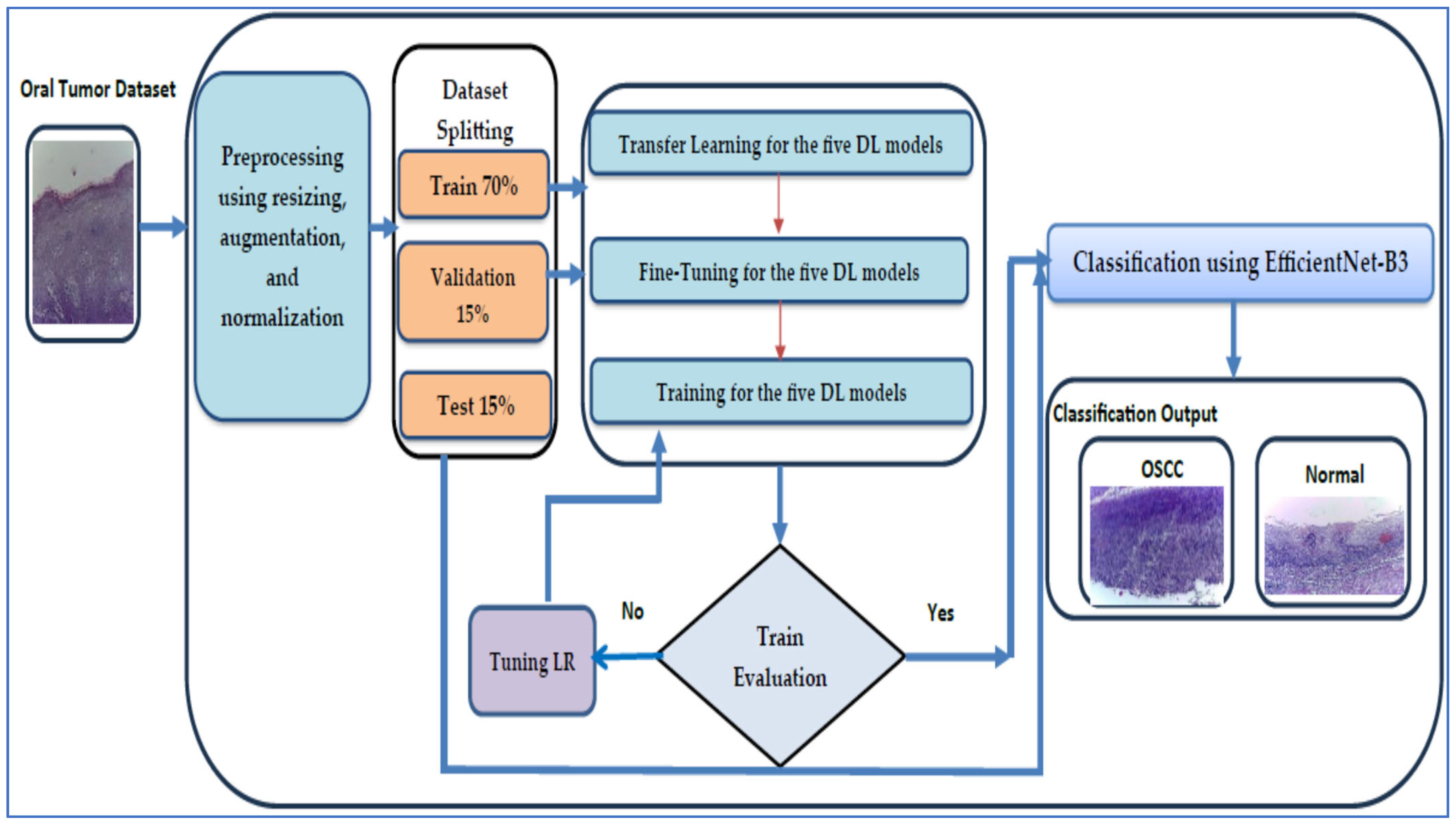 Diagnostics 15 01678 g004