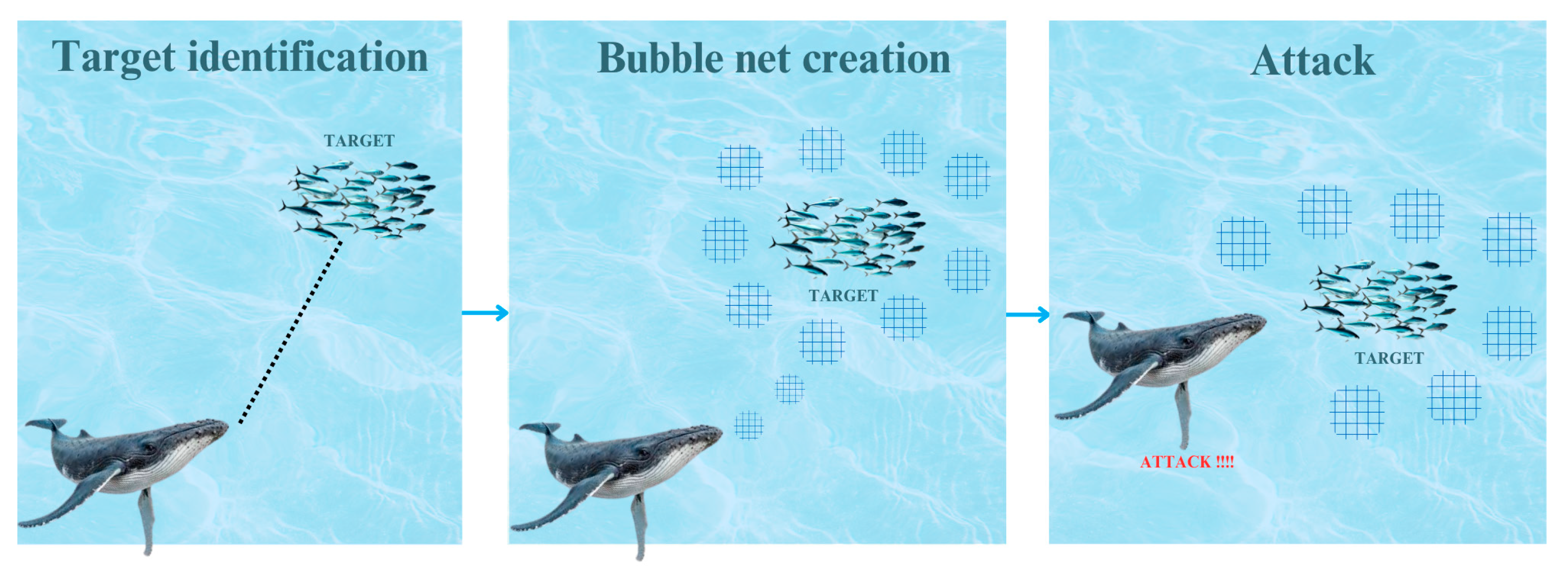 Diagnostics 15 01684 g002