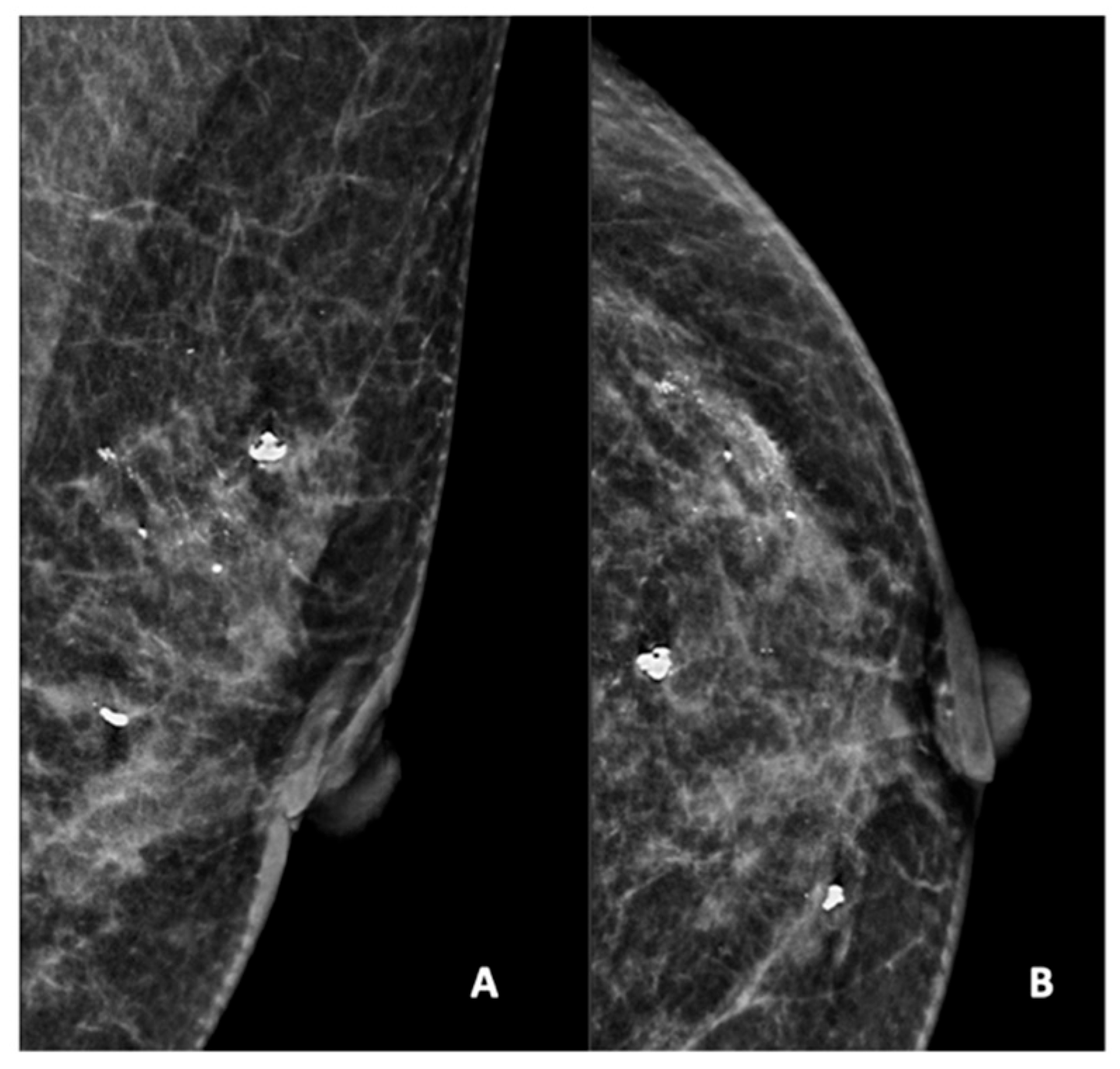 Diagnostics 15 01687 g002
