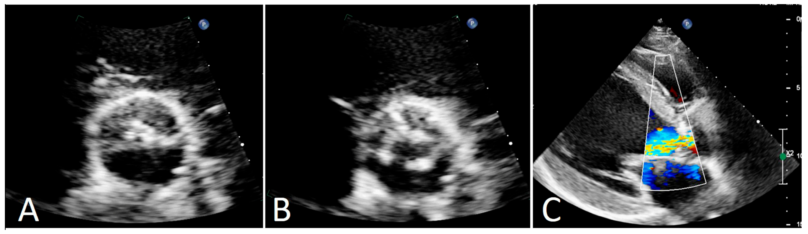 Diagnostics 15 01689 g001