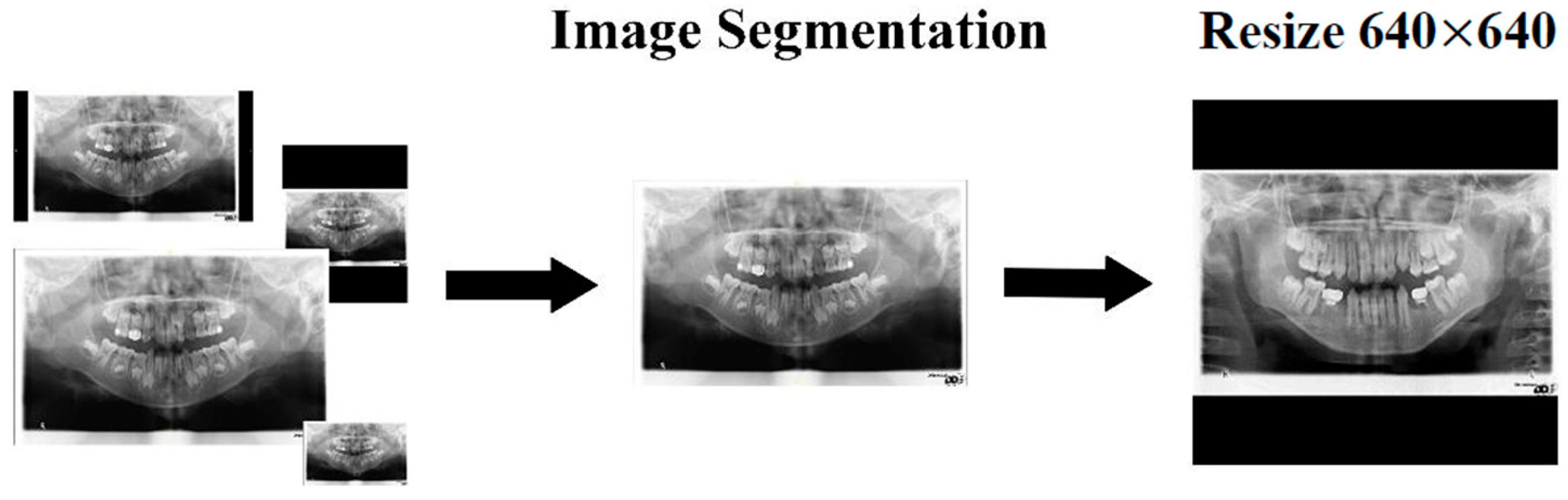 Diagnostics 15 01693 g002