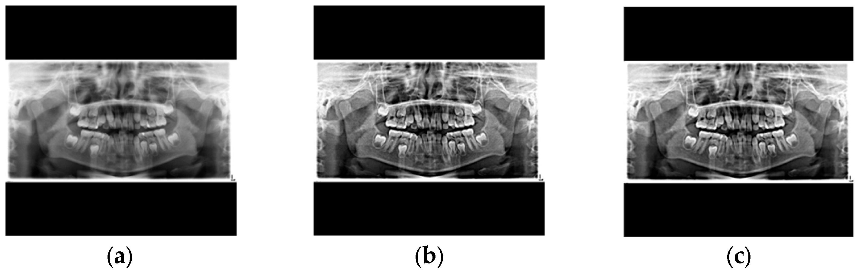 Diagnostics 15 01693 g004