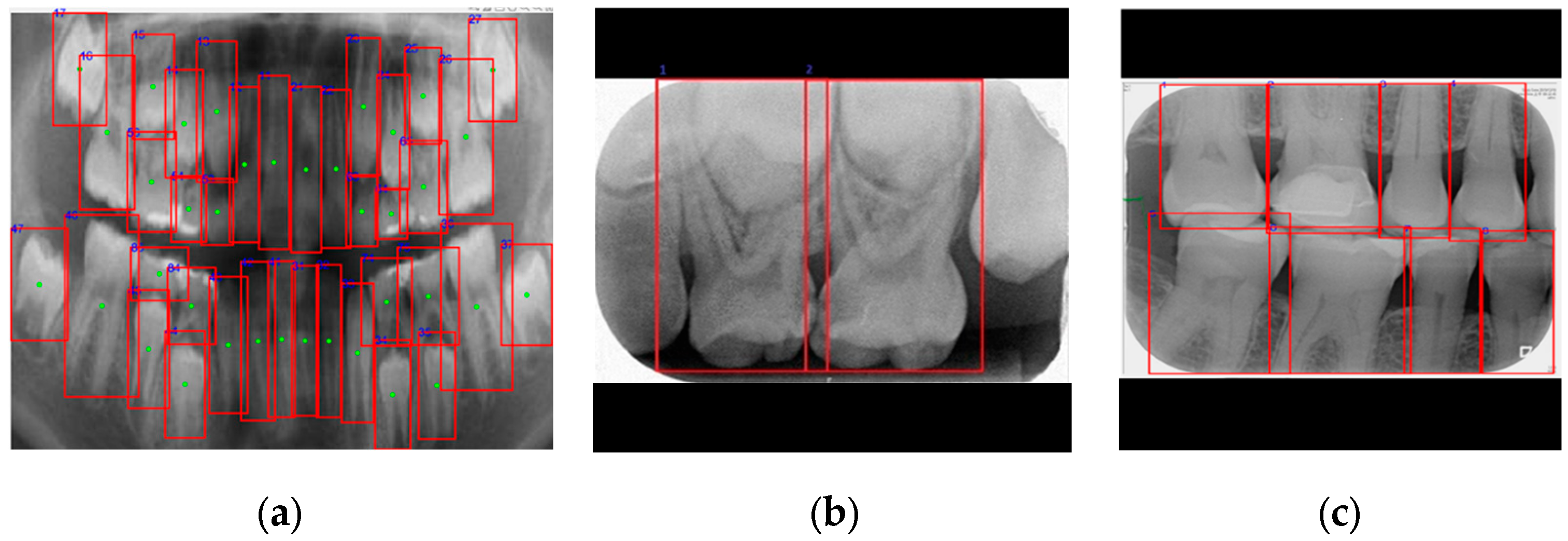 Diagnostics 15 01693 g008