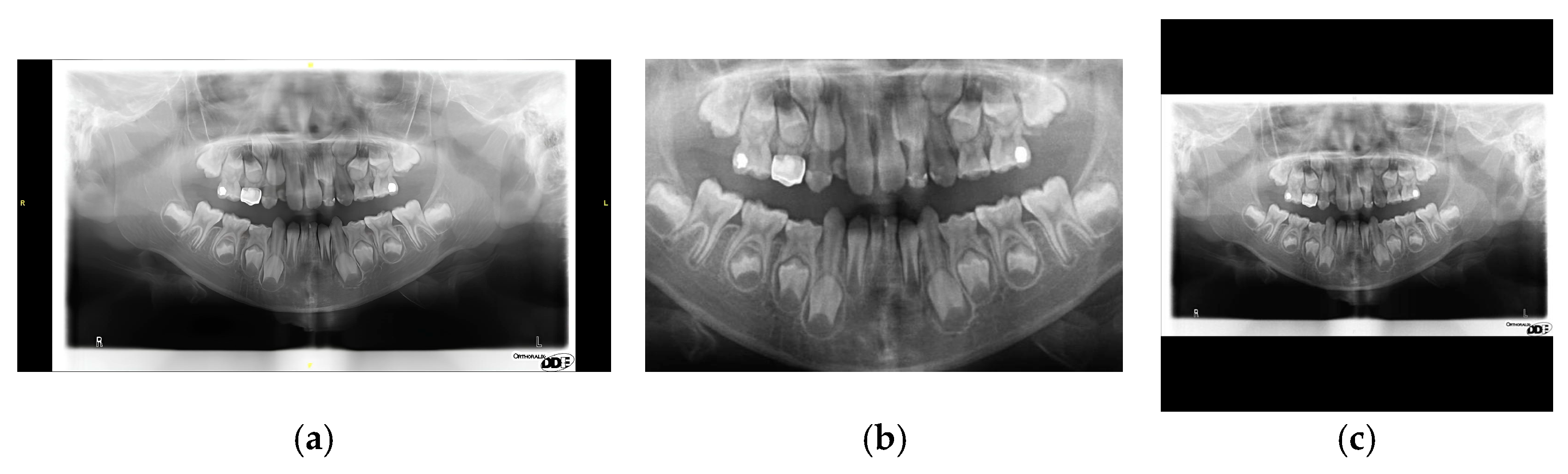 Diagnostics 15 01693 g009
