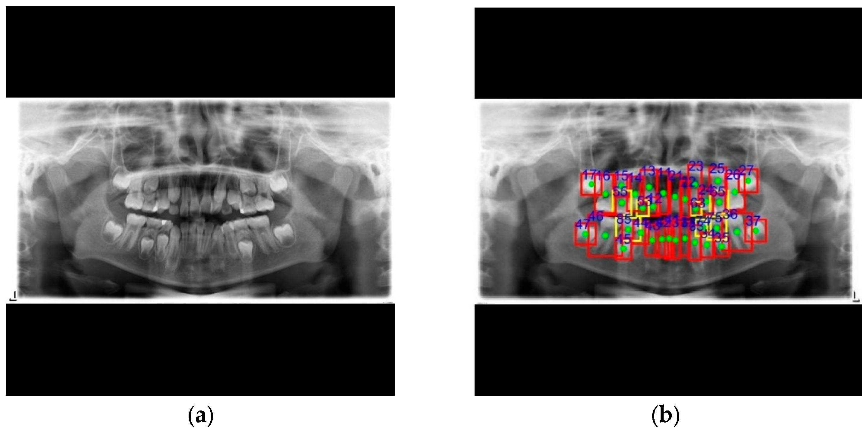 Diagnostics 15 01693 g010
