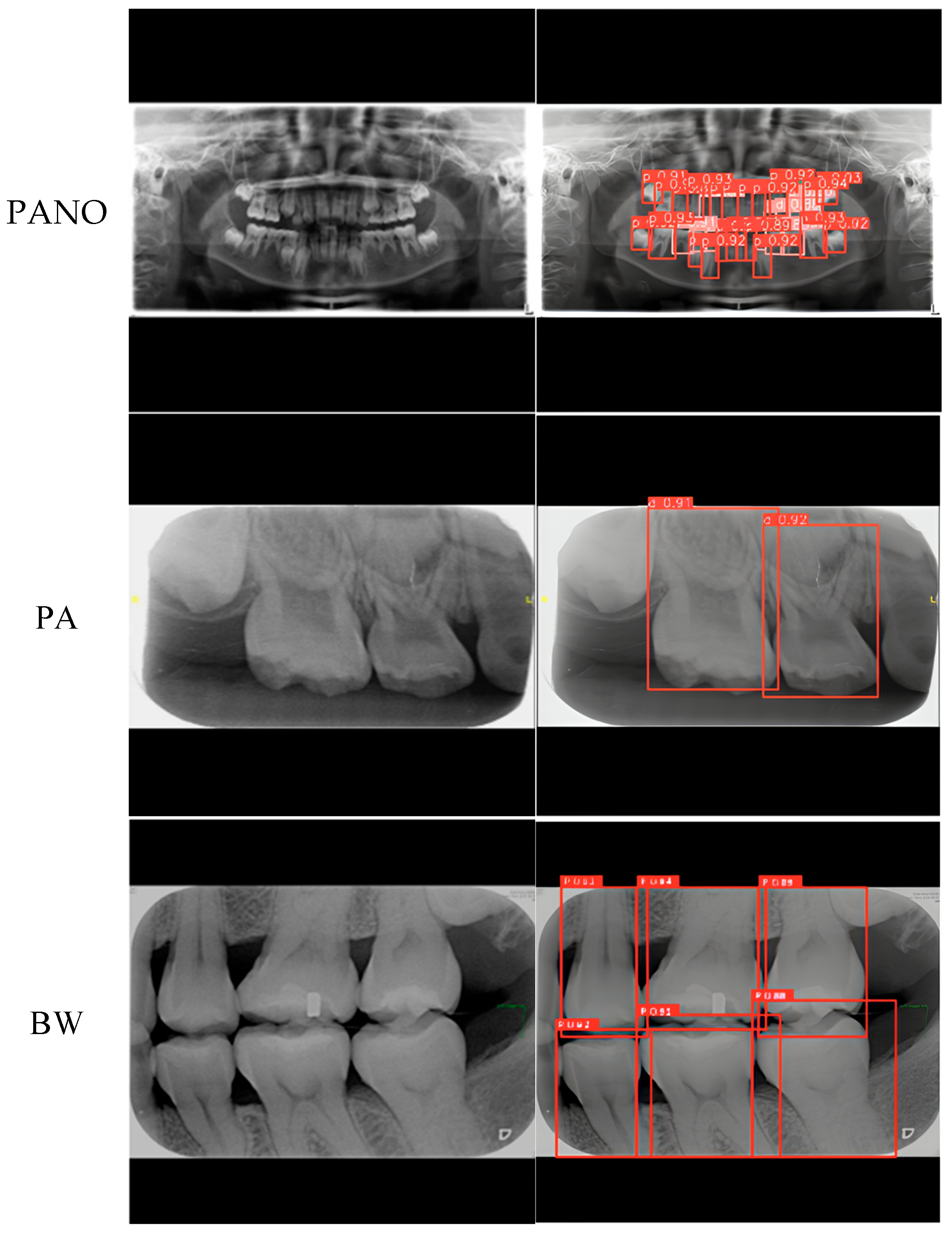 Diagnostics 15 01693 g011