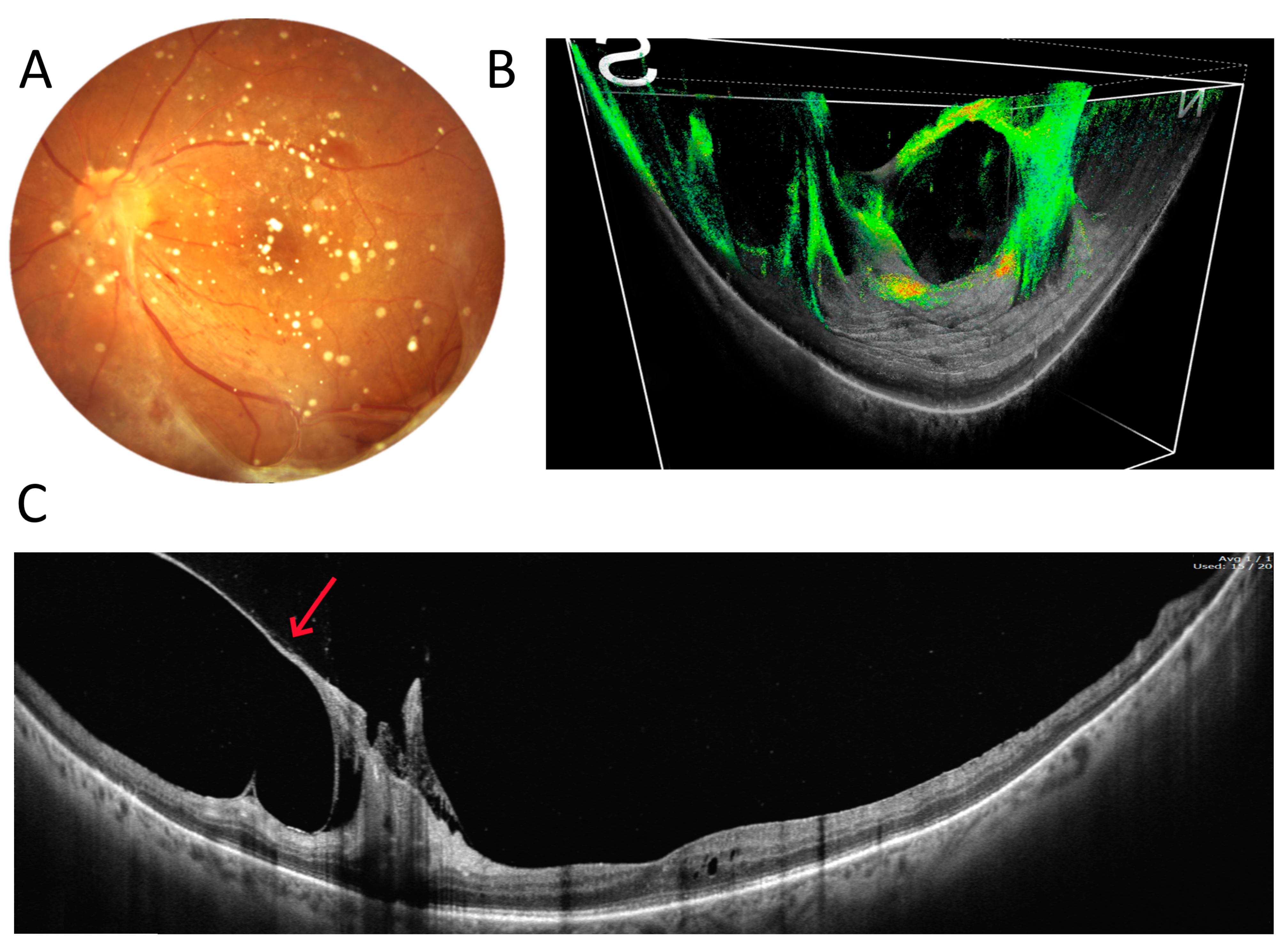 Diagnostics 15 01697 g007