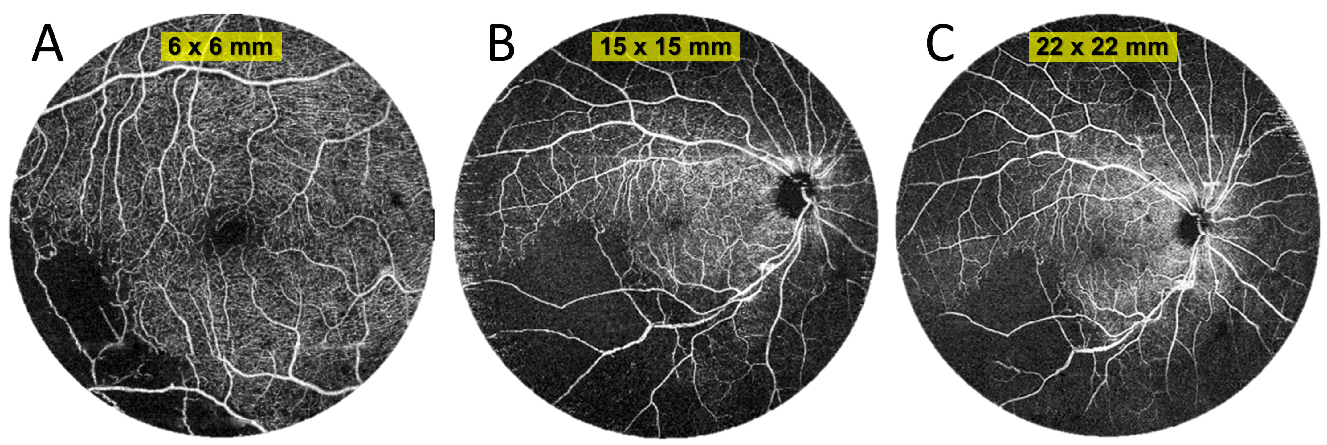 Diagnostics 15 01697 g009