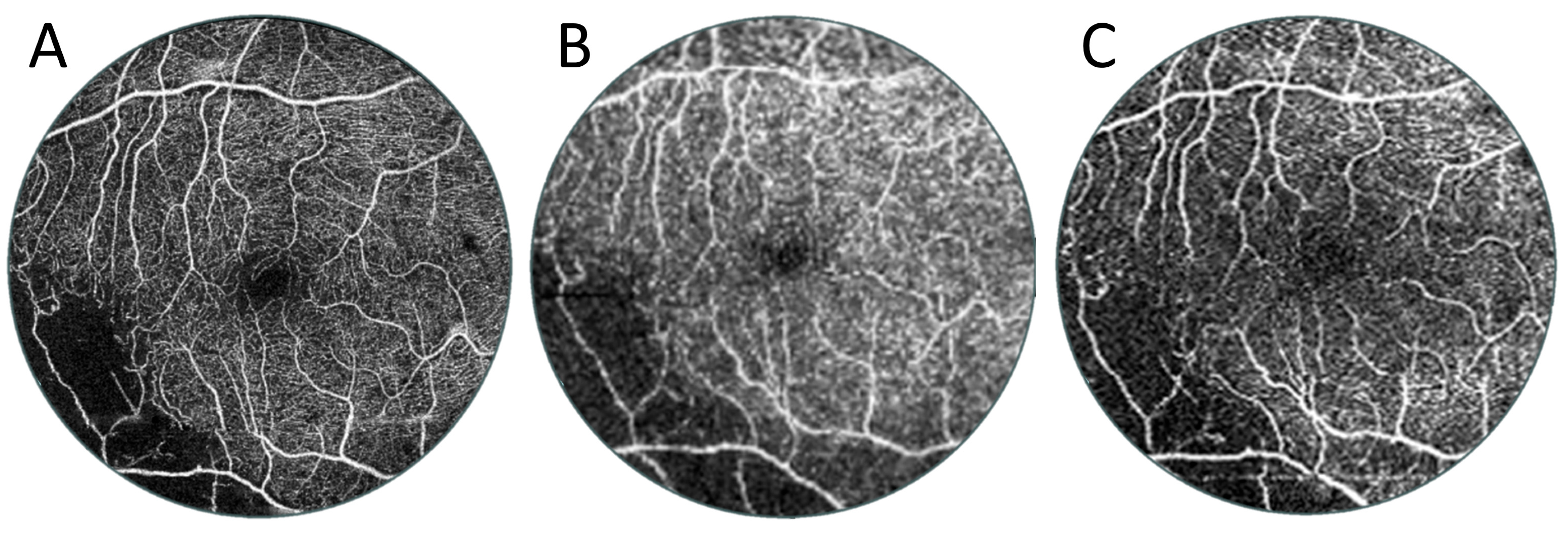 Diagnostics 15 01697 g010