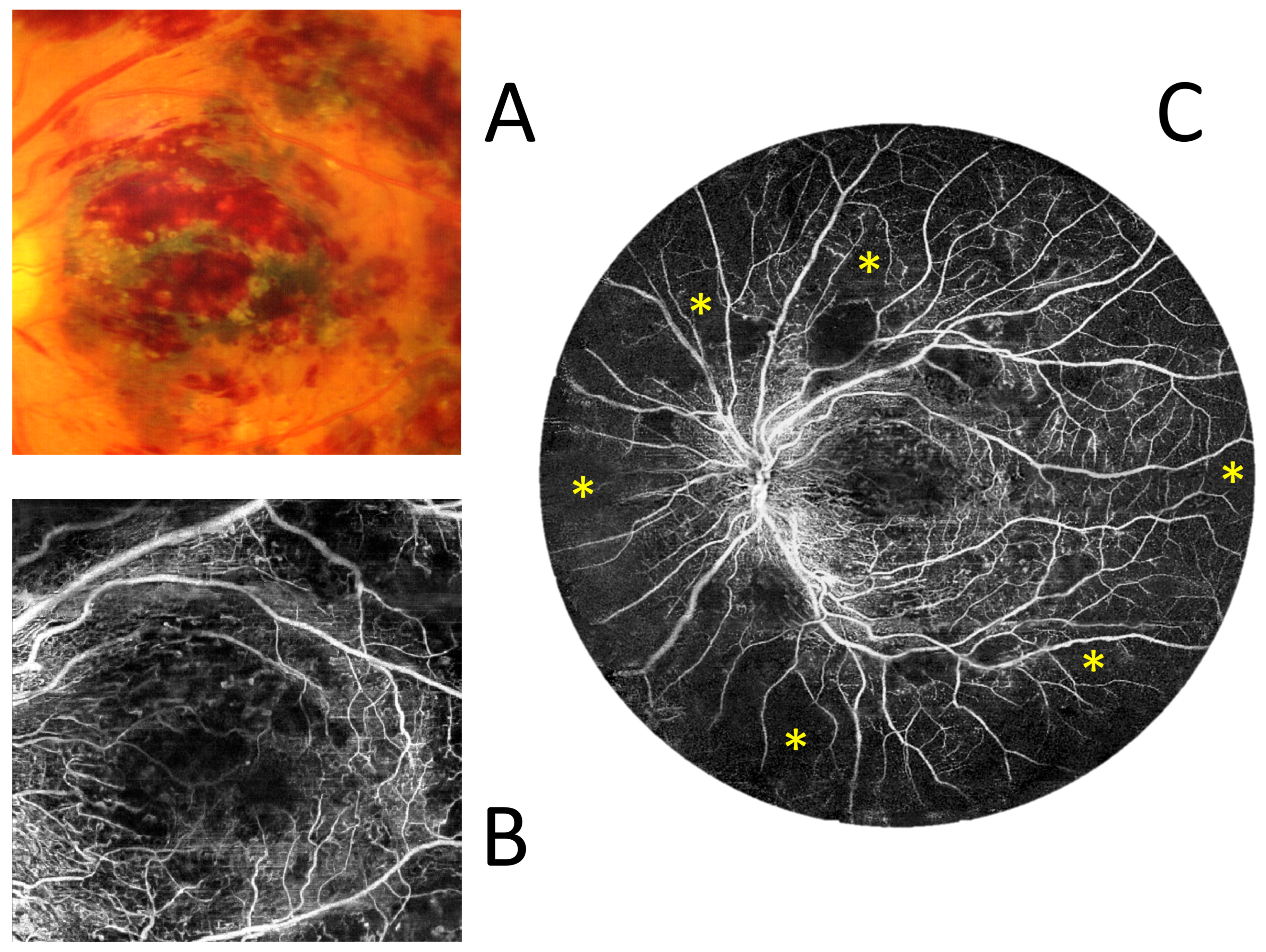 Diagnostics 15 01697 g011