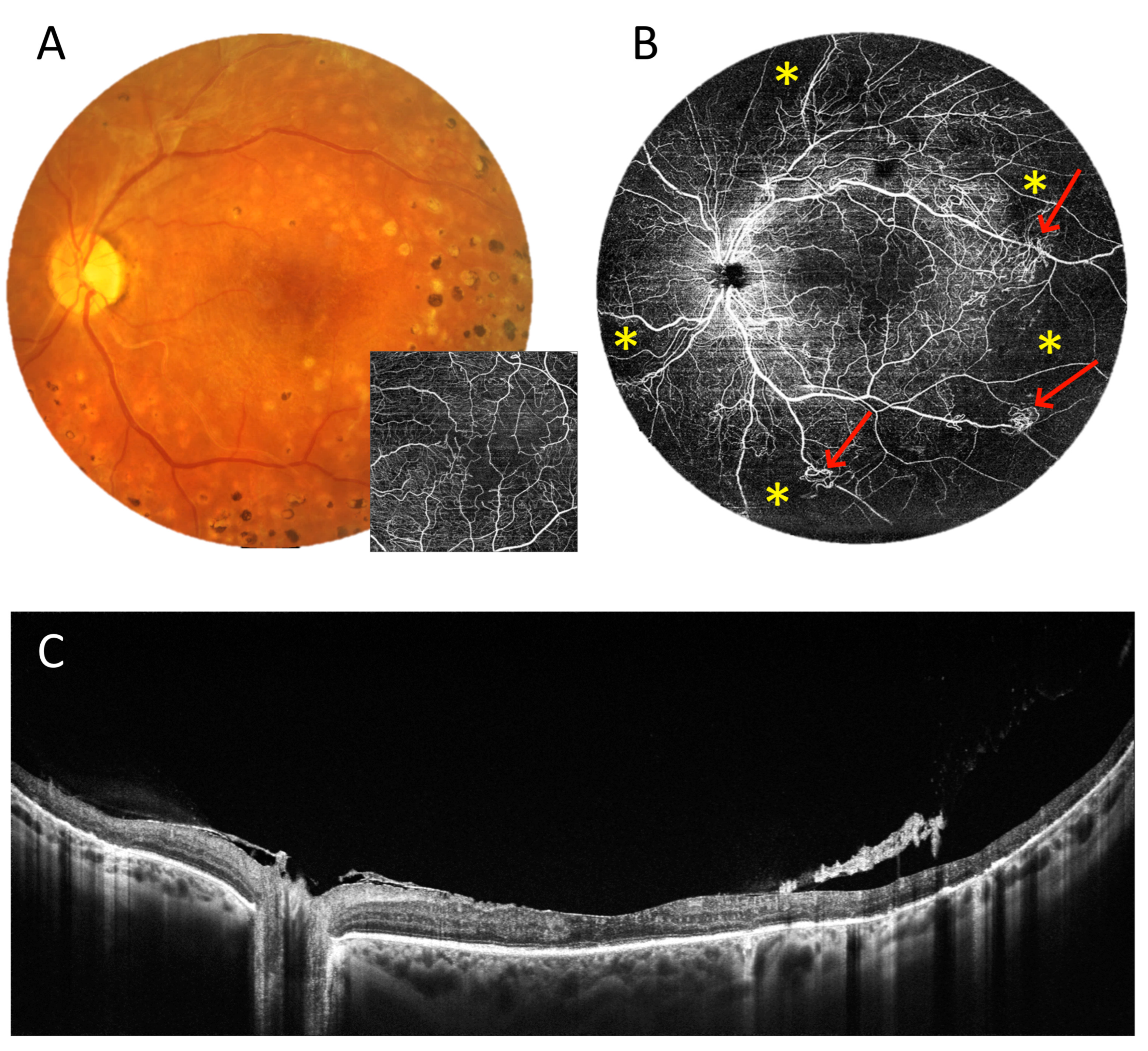 Diagnostics 15 01697 g012
