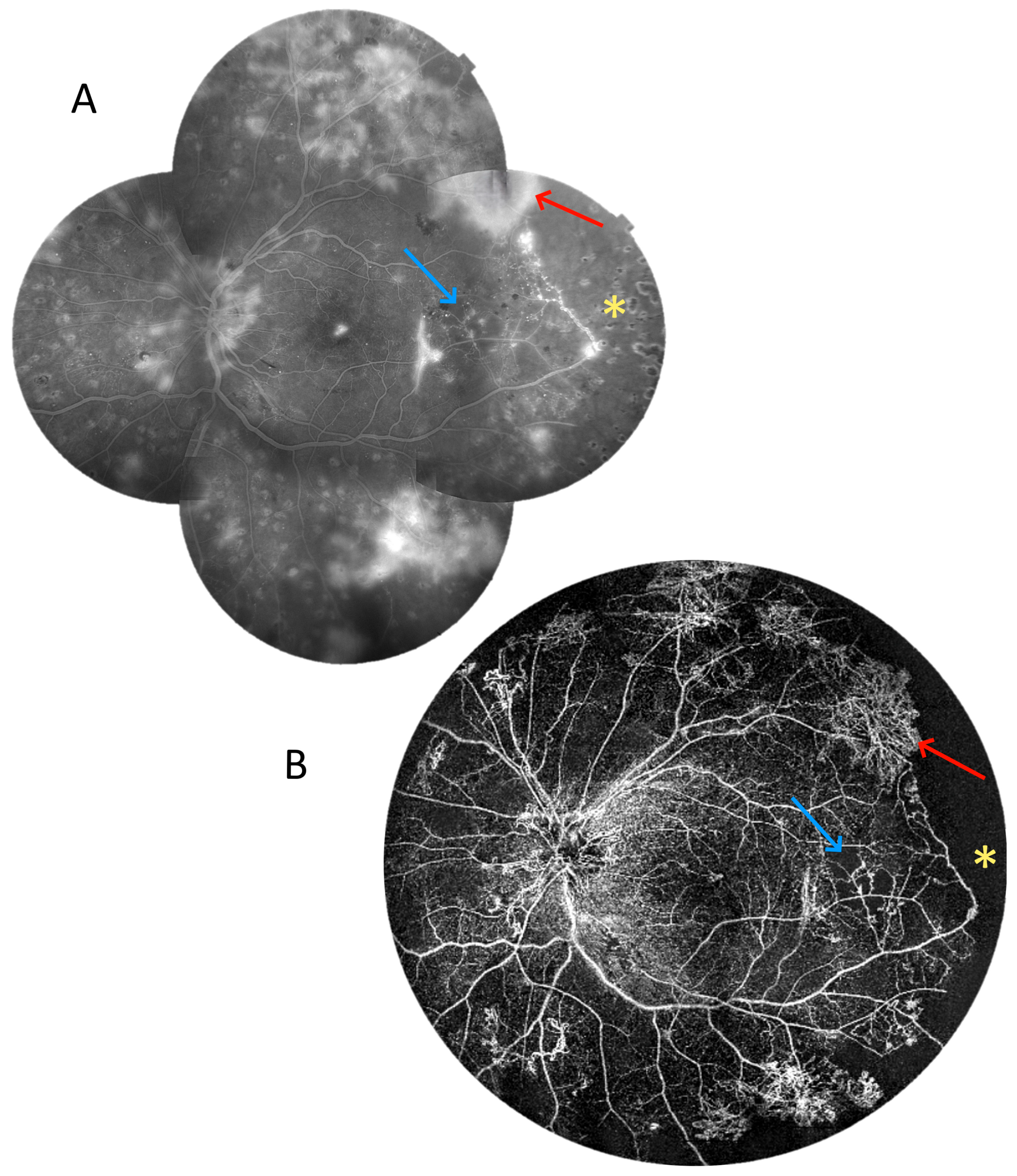 Diagnostics 15 01697 g013
