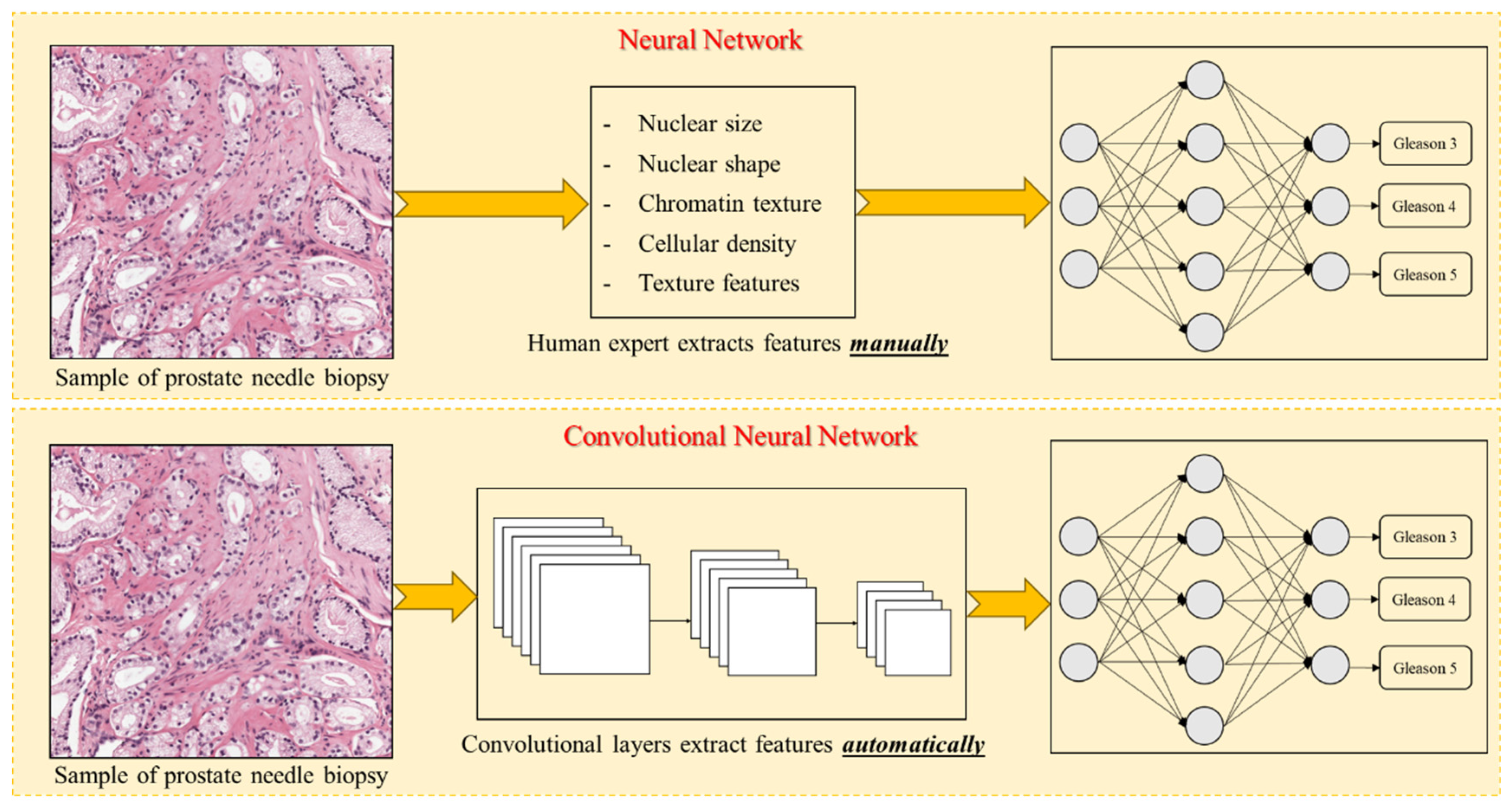 Diagnostics 15 01699 g001