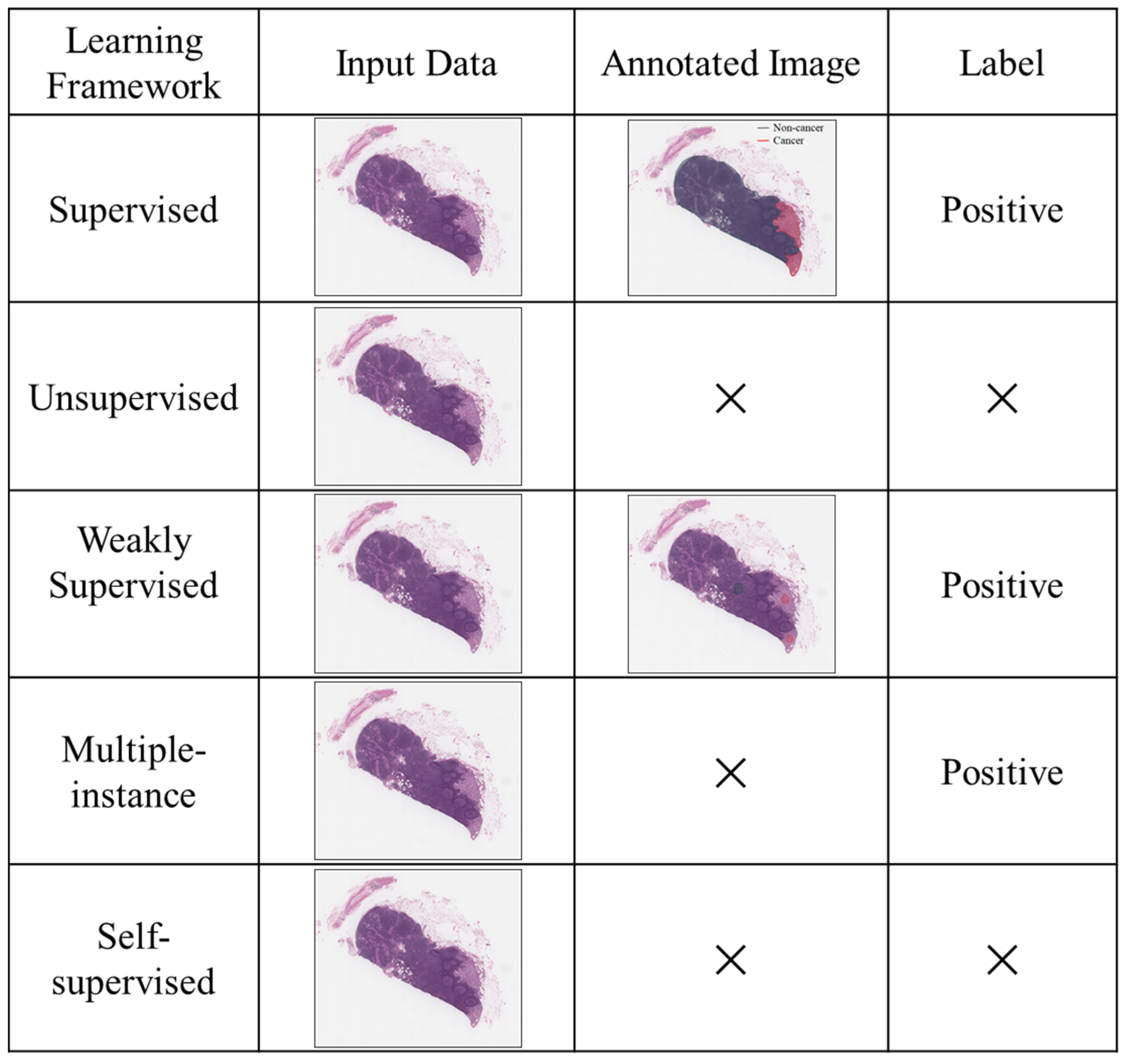 Diagnostics 15 01699 g002