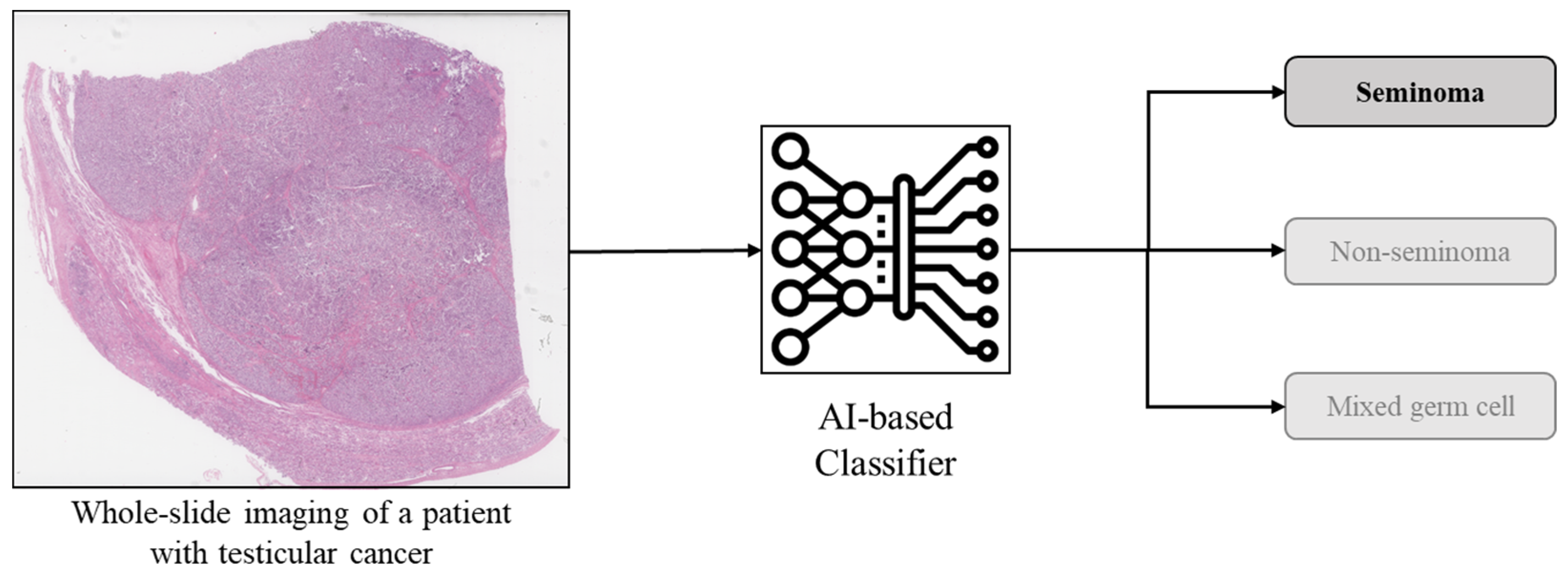 Diagnostics 15 01699 g005