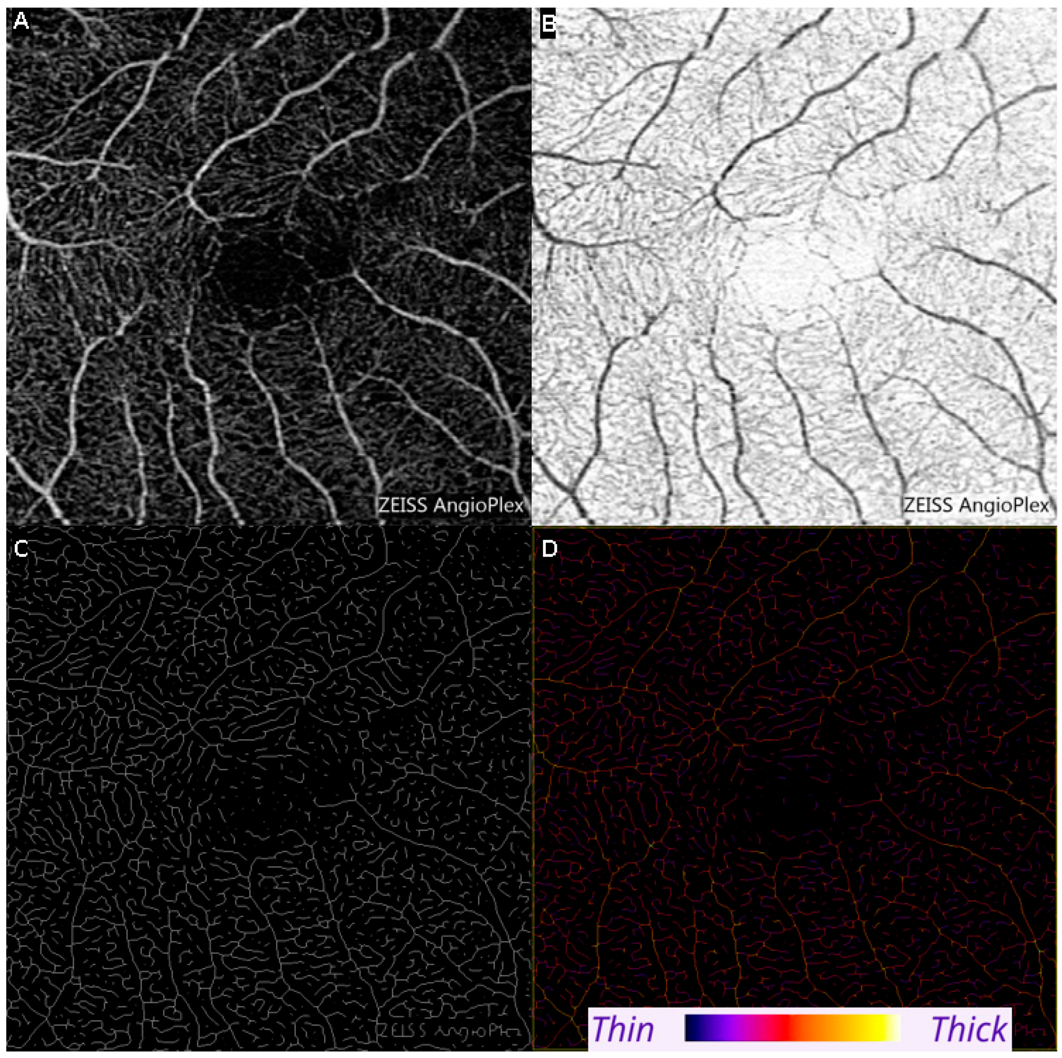 Diagnostics 15 01700 g001