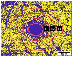 Diagnostics 15 01701 i001