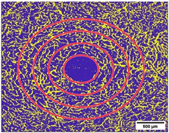 Diagnostics 15 01701 i002
