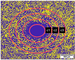 Diagnostics 15 01701 i003