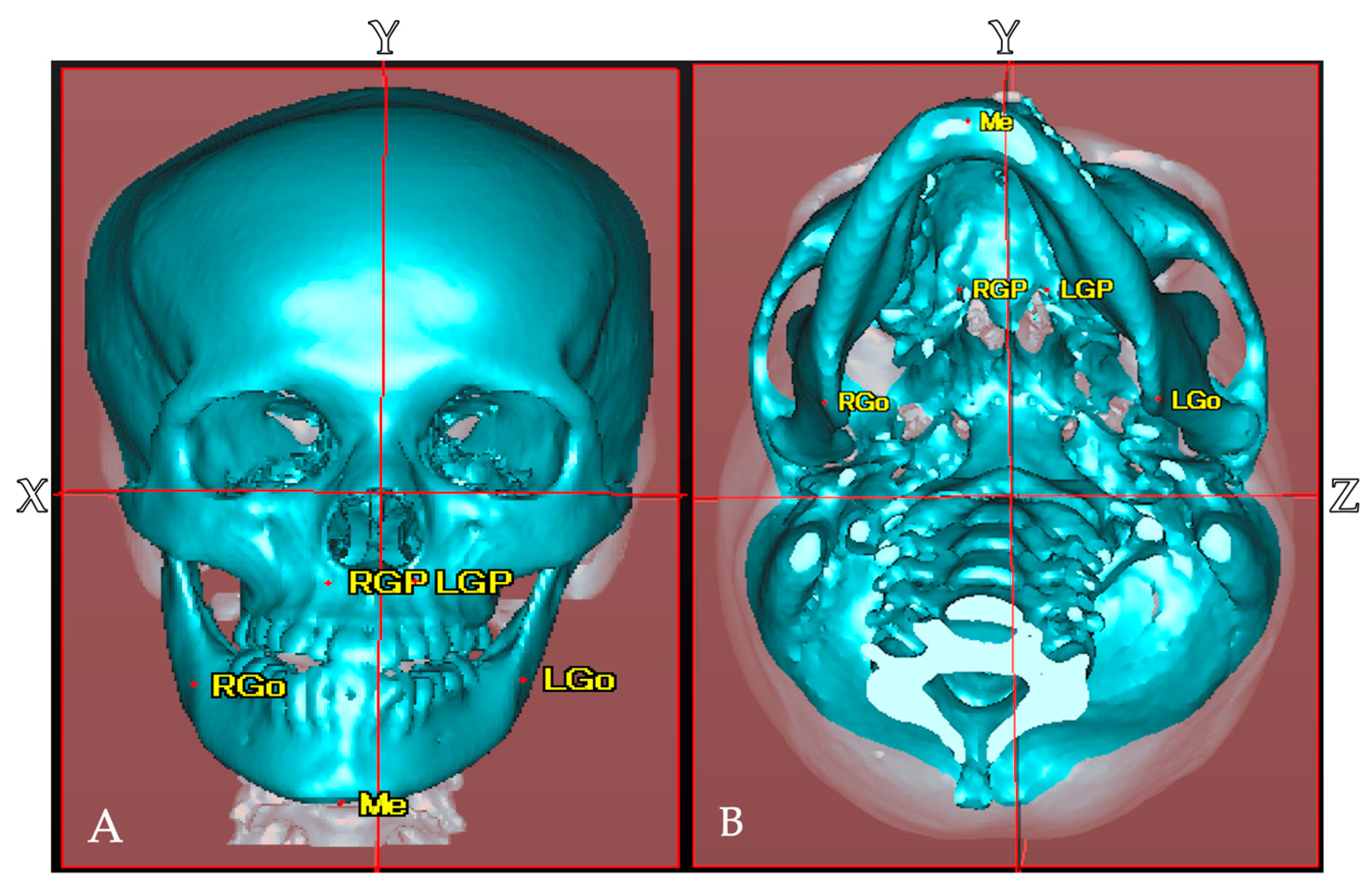 Diagnostics 15 01702 g001