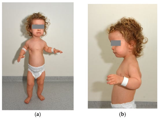 Diagnostics 15 01706 g001