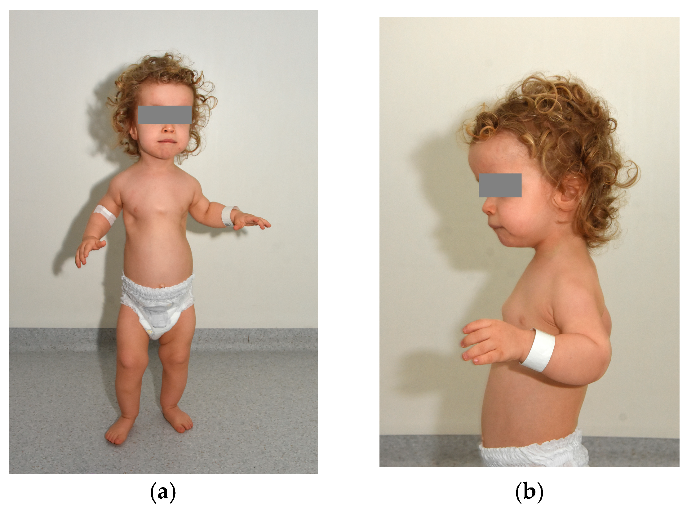 Diagnostics 15 01706 g001