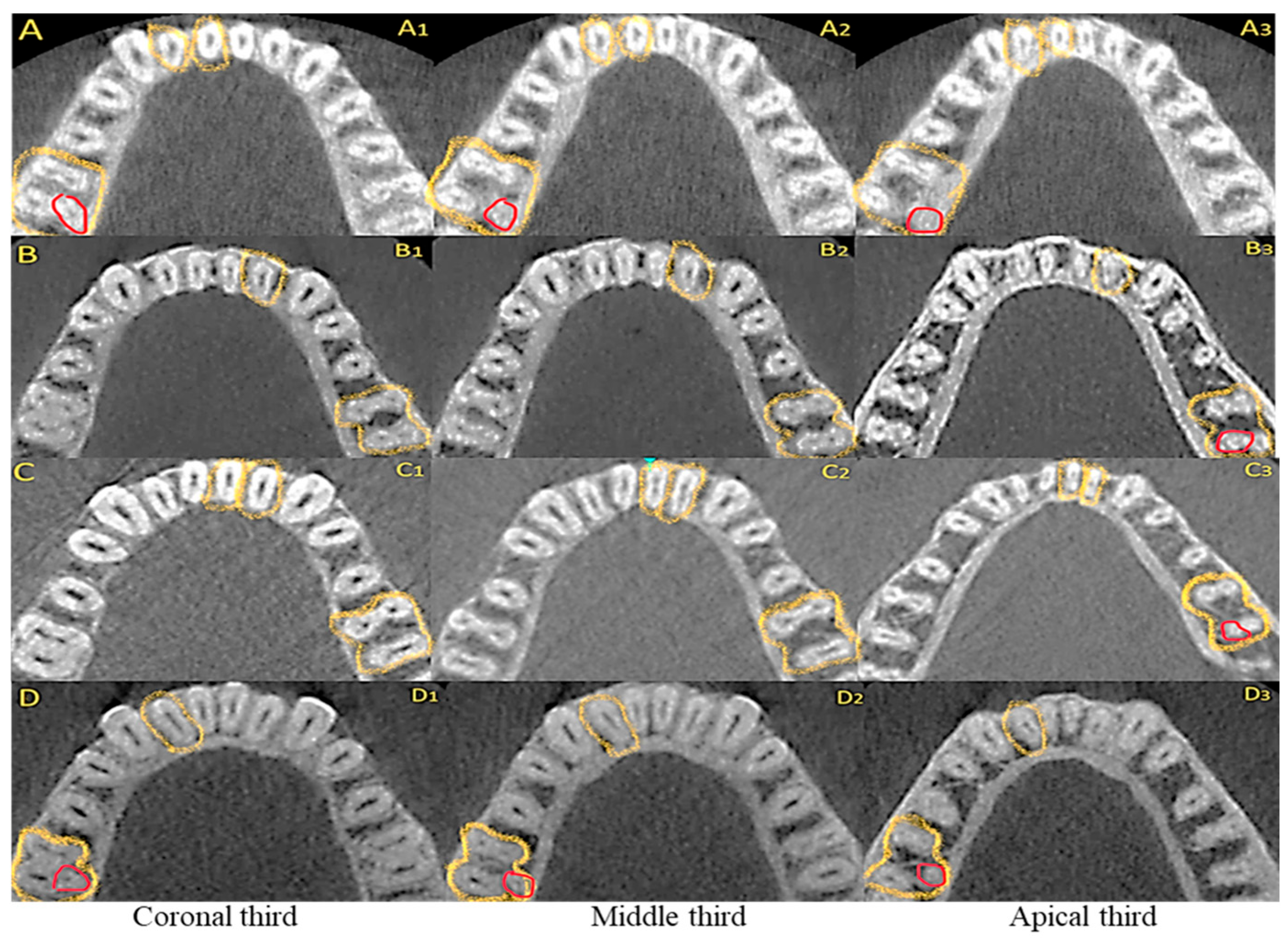 Diagnostics 15 01721 g004