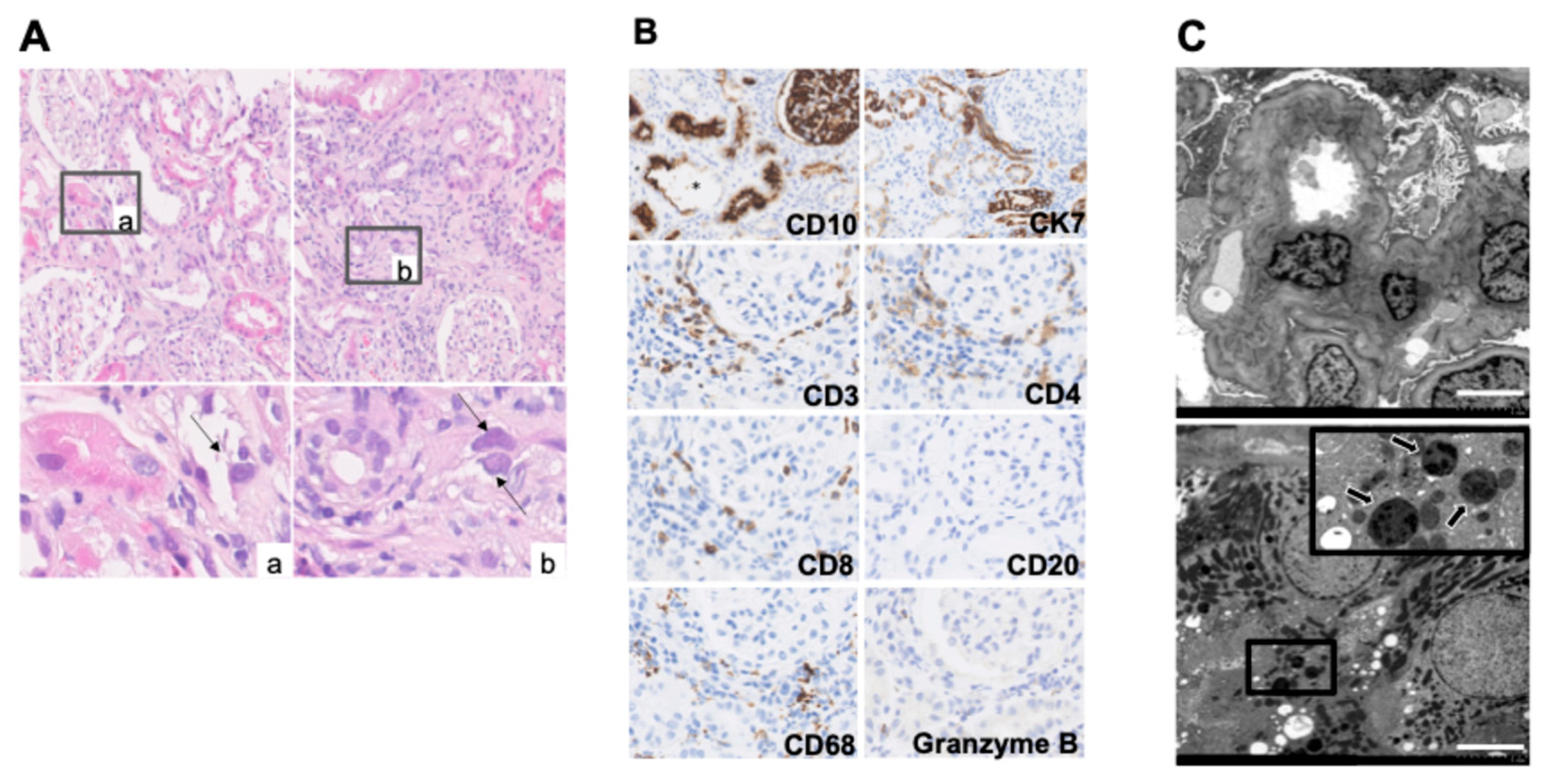 Diagnostics 15 01722 g001