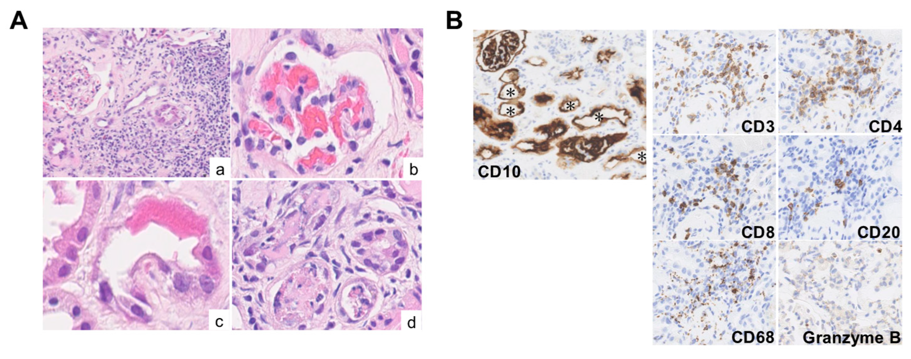 Diagnostics 15 01722 g003