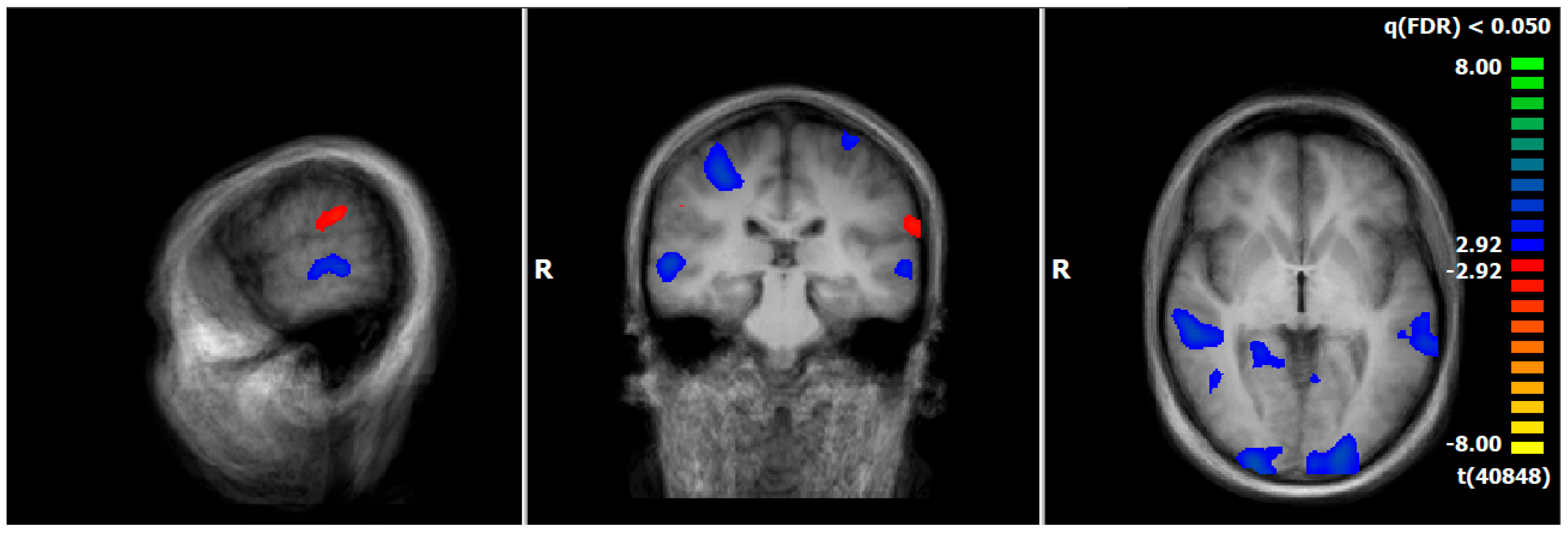 Diagnostics 15 01729 g003