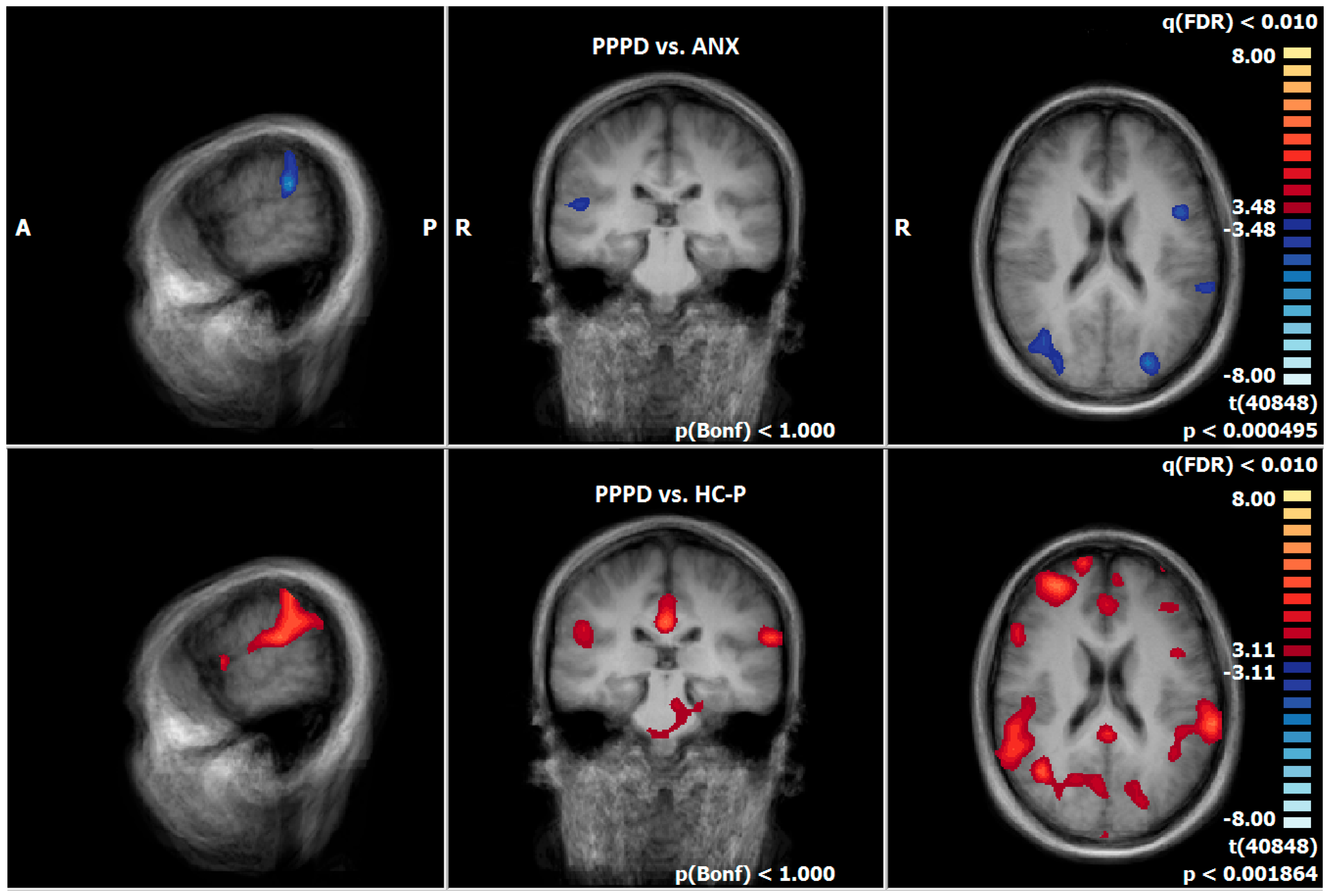 Diagnostics 15 01729 g005