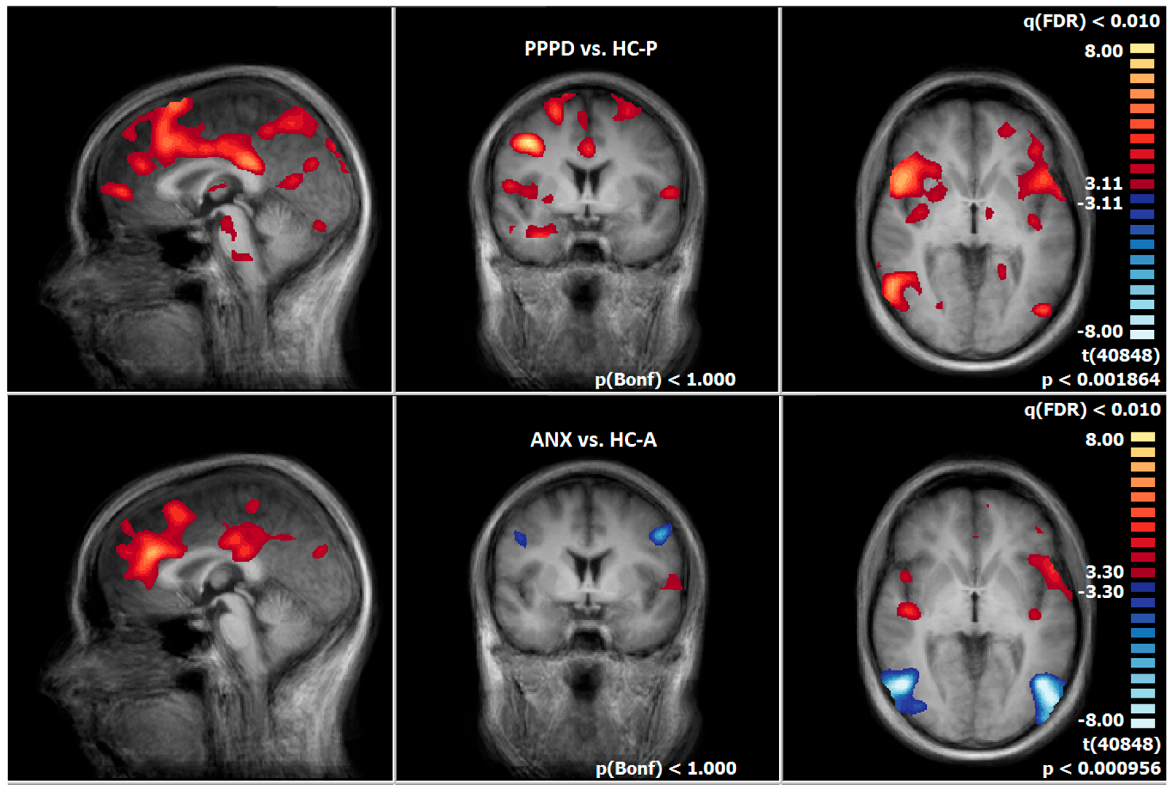 Diagnostics 15 01729 g006