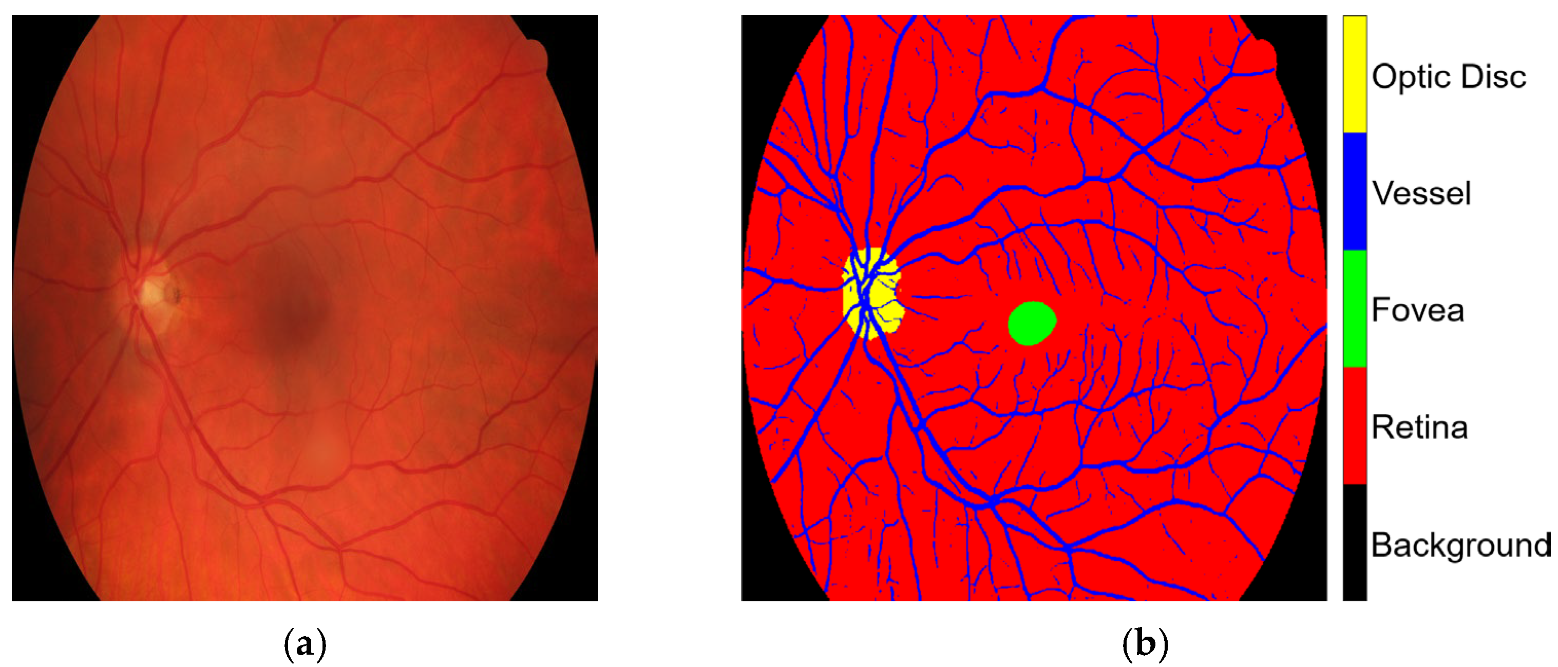 Diagnostics 15 01735 g004