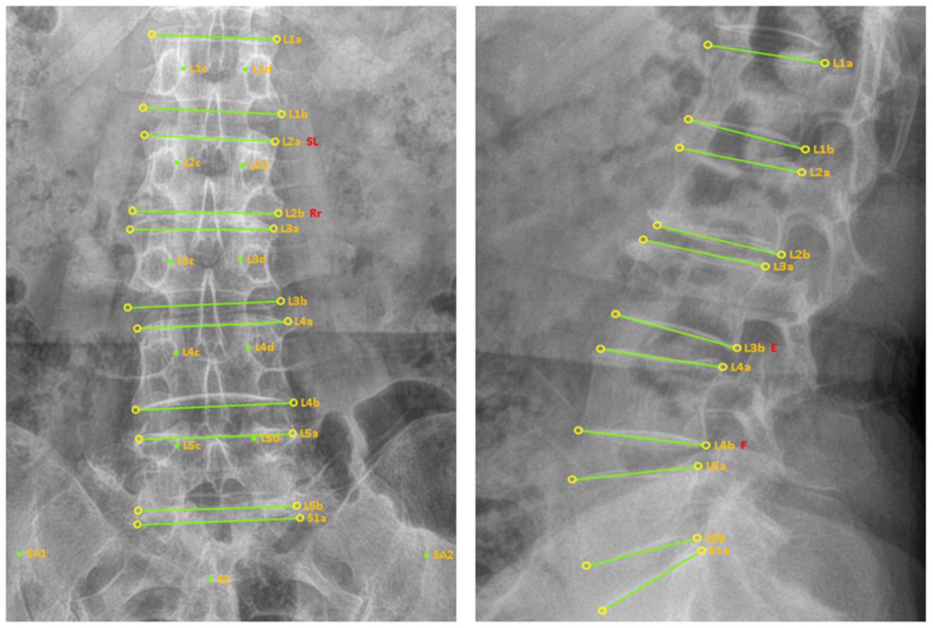 Diagnostics 15 01748 g001 Diagnostics 15 01748 g001