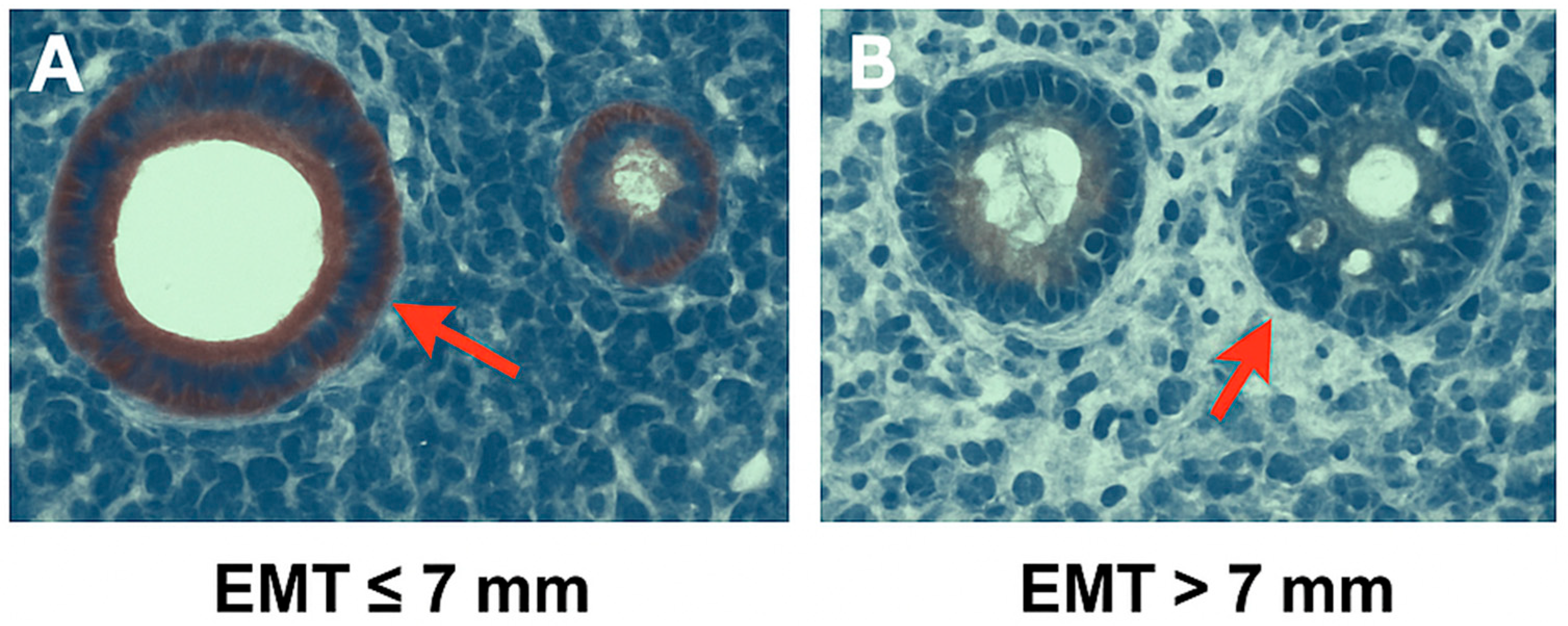 Diagnostics 15 01762 g003