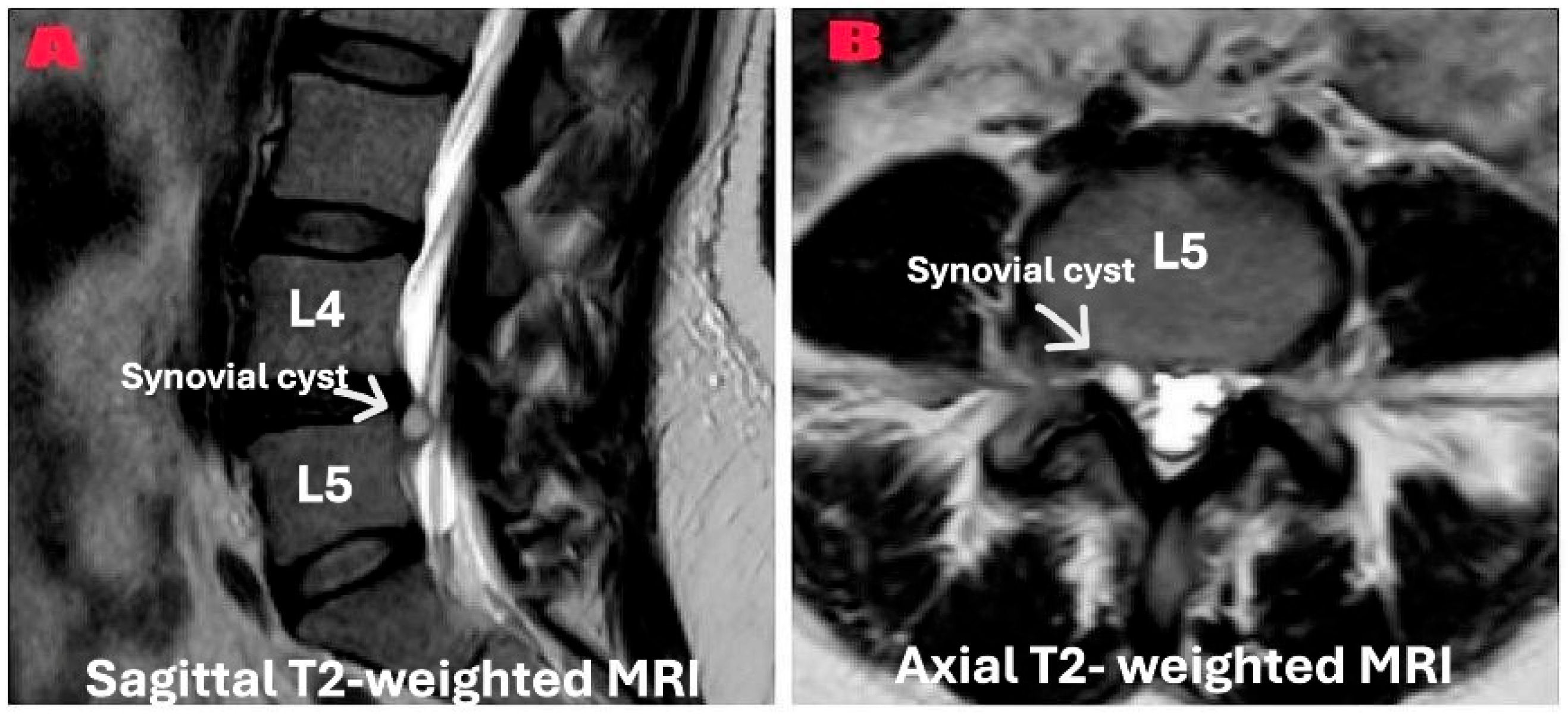 Diagnostics 15 01767 g001