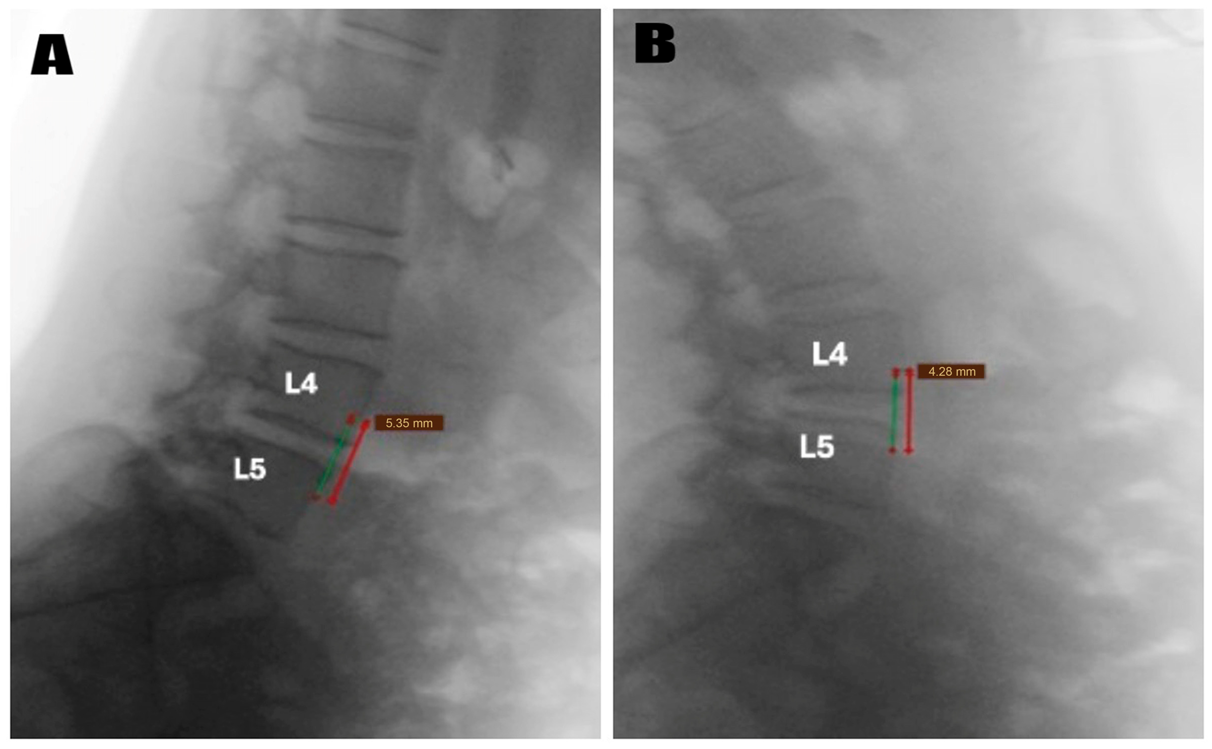 Diagnostics 15 01767 g002
