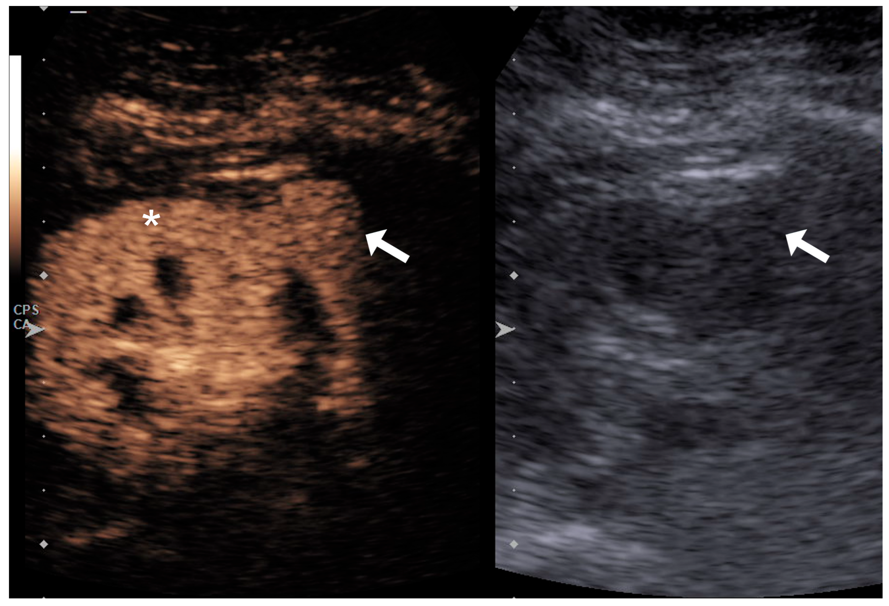 Diagnostics 15 01795 g002
