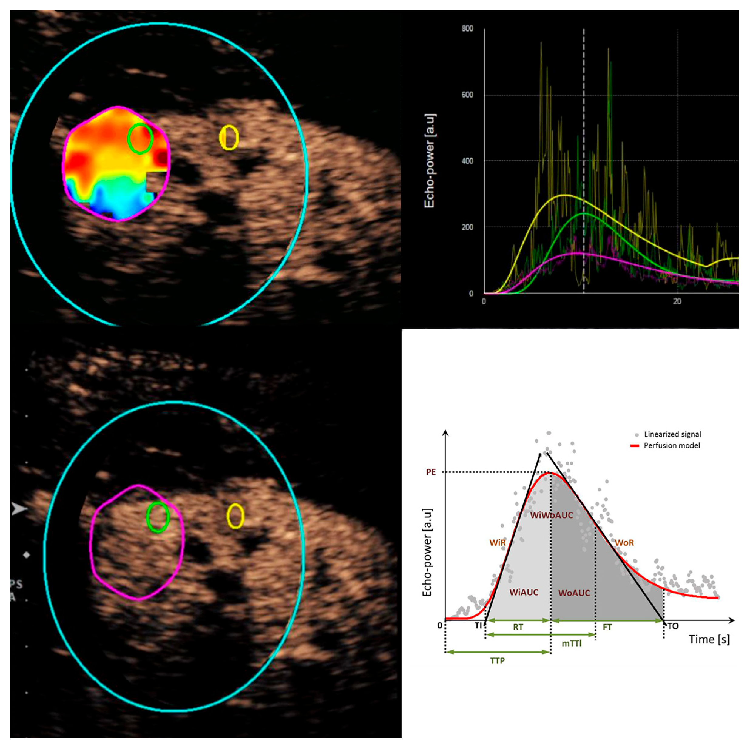 Diagnostics 15 01795 g005
