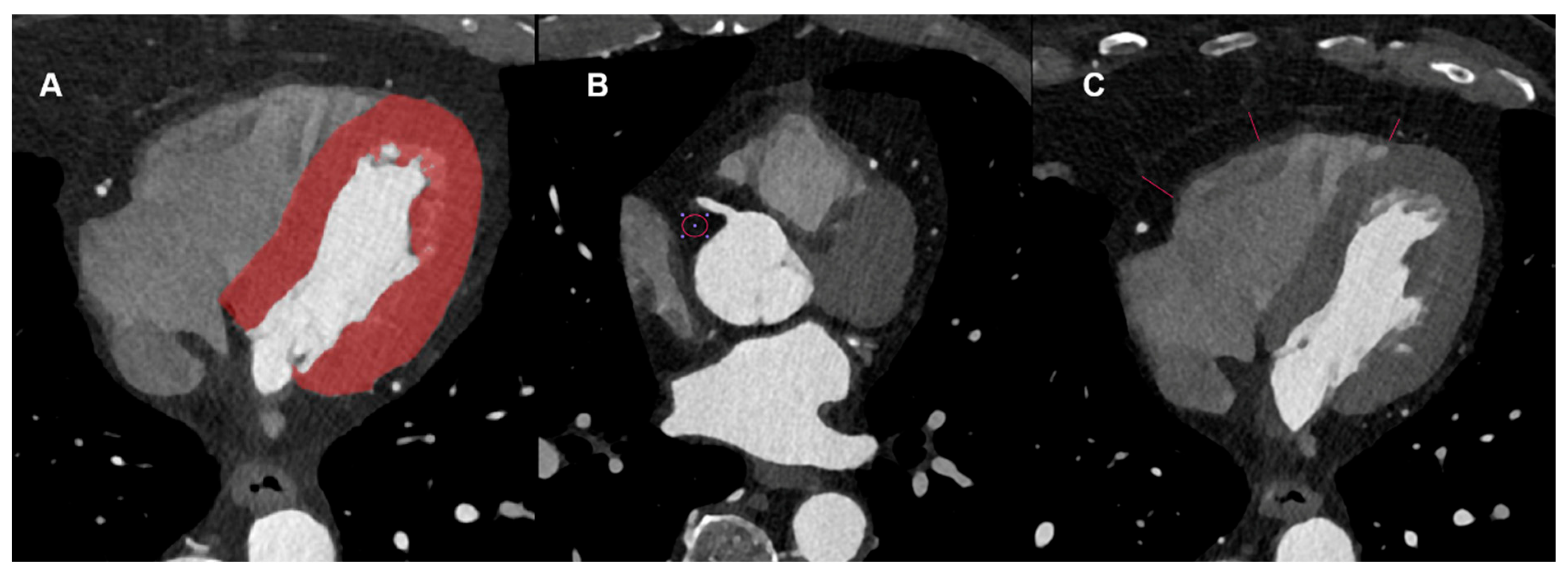 Diagnostics 15 01796 g002