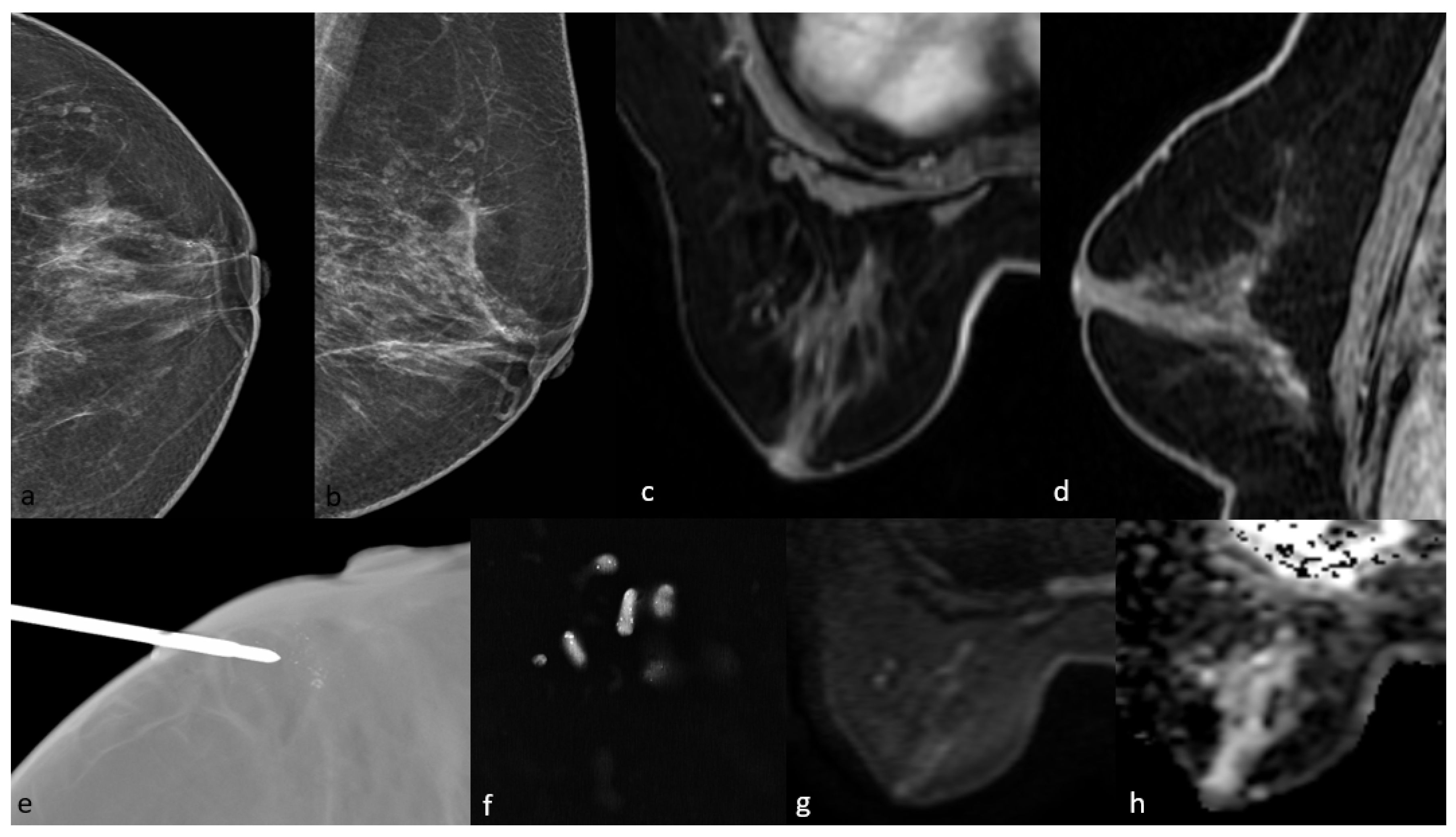 Diagnostics 15 01801 g004